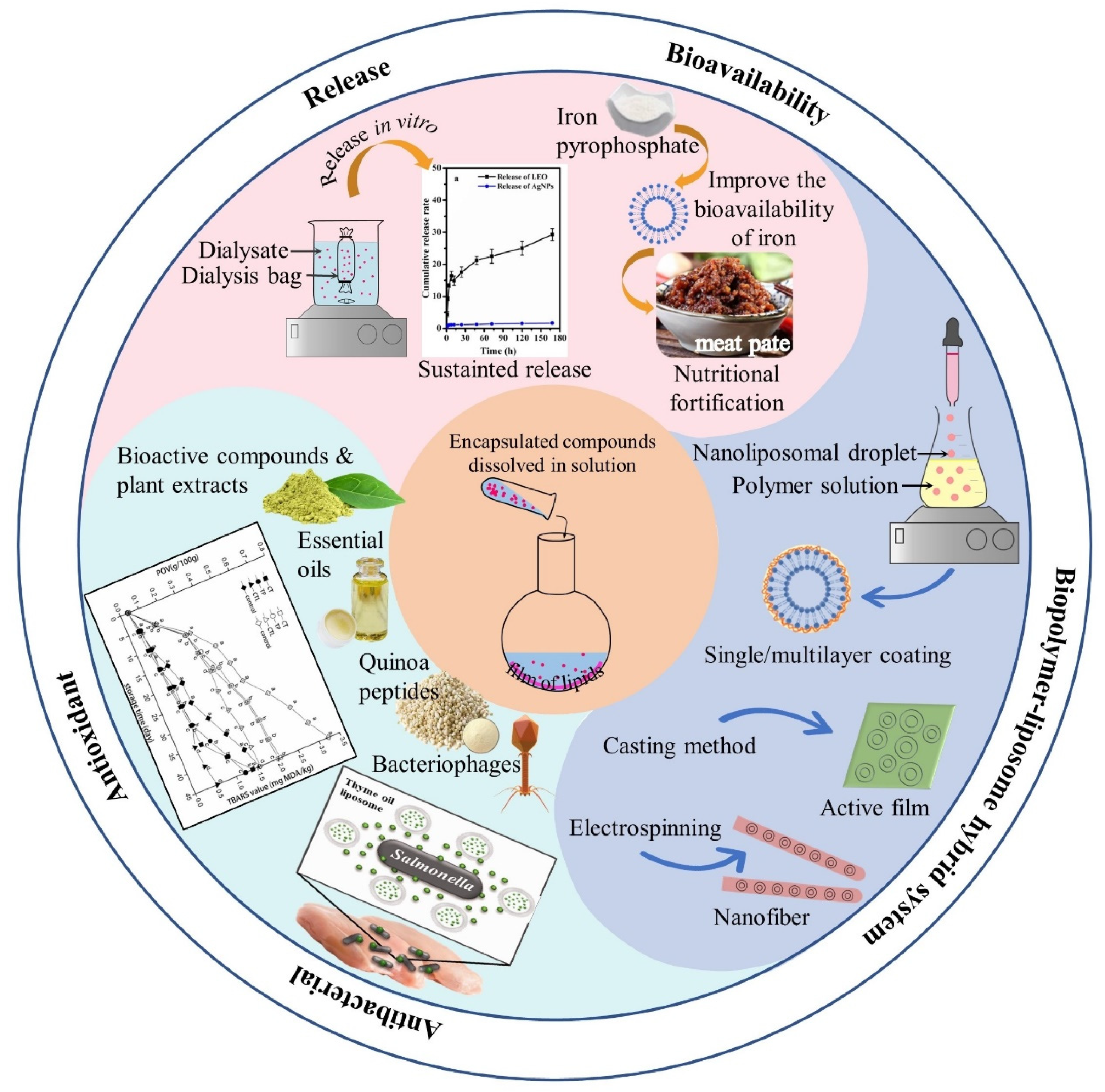 Foods 11 03017 g003 Foods 11 03017 g003
