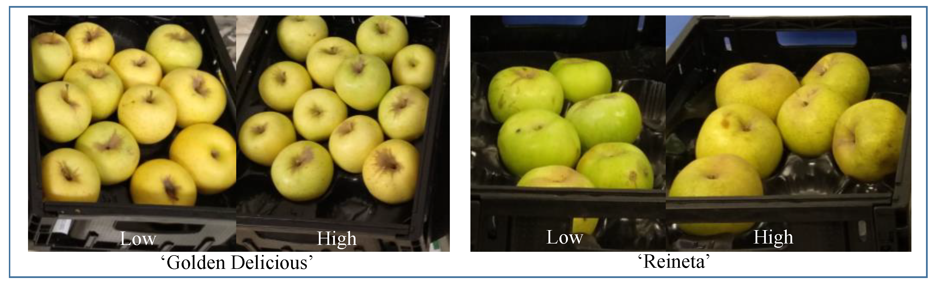 Foods 11 03022 g001 550