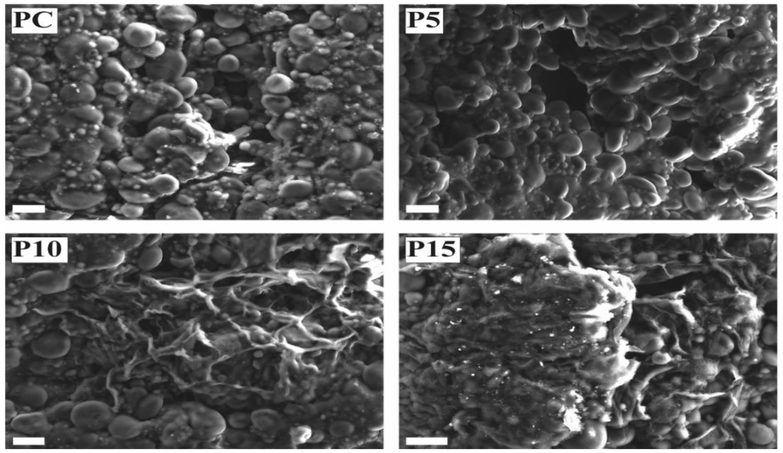 Foods 11 03032 g003 Foods 11 03032 g003