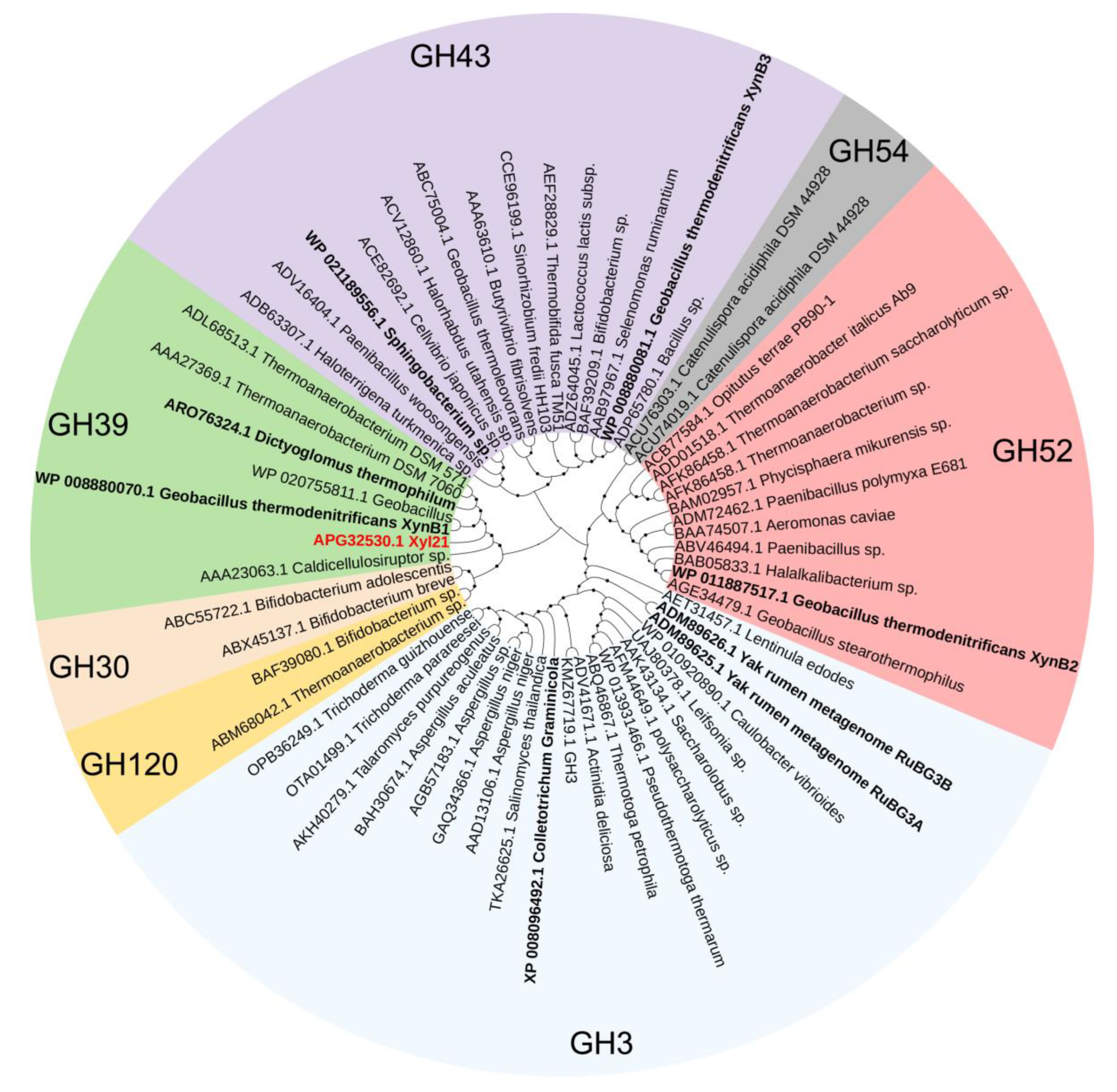 Foods 11 03039 g001 Foods 11 03039 g001