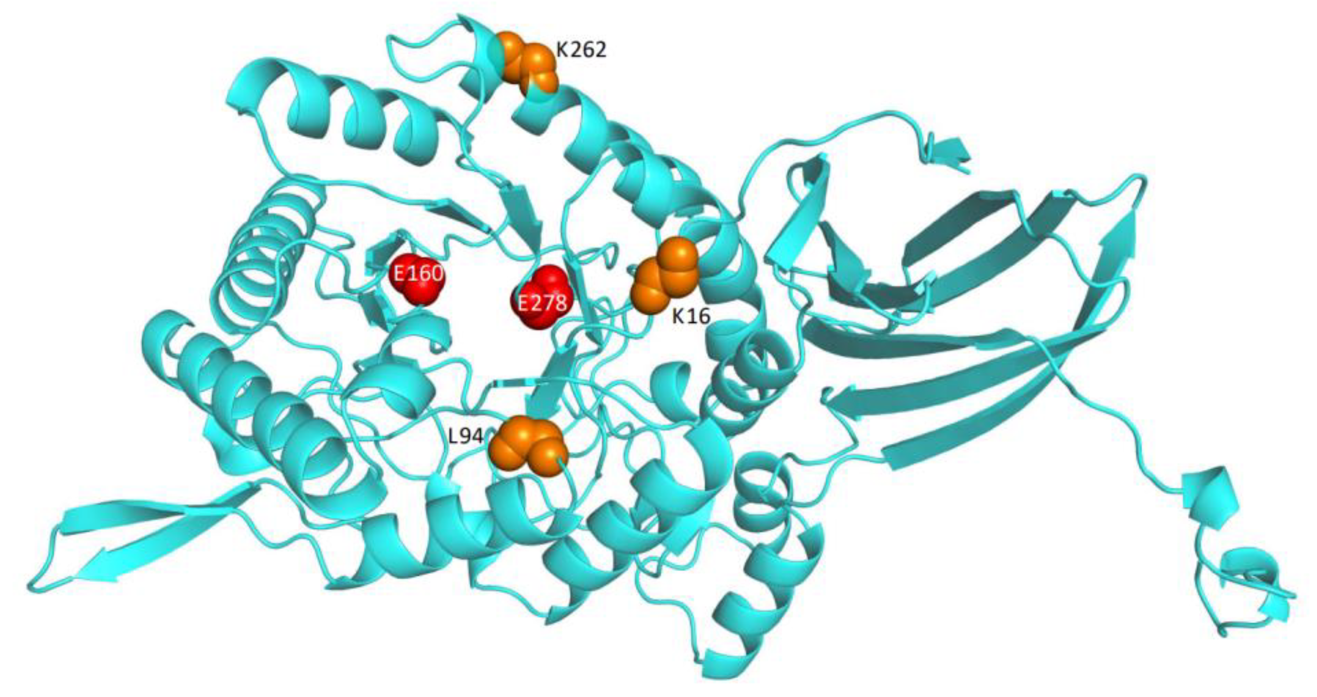 Foods 11 03039 g007 Foods 11 03039 g007