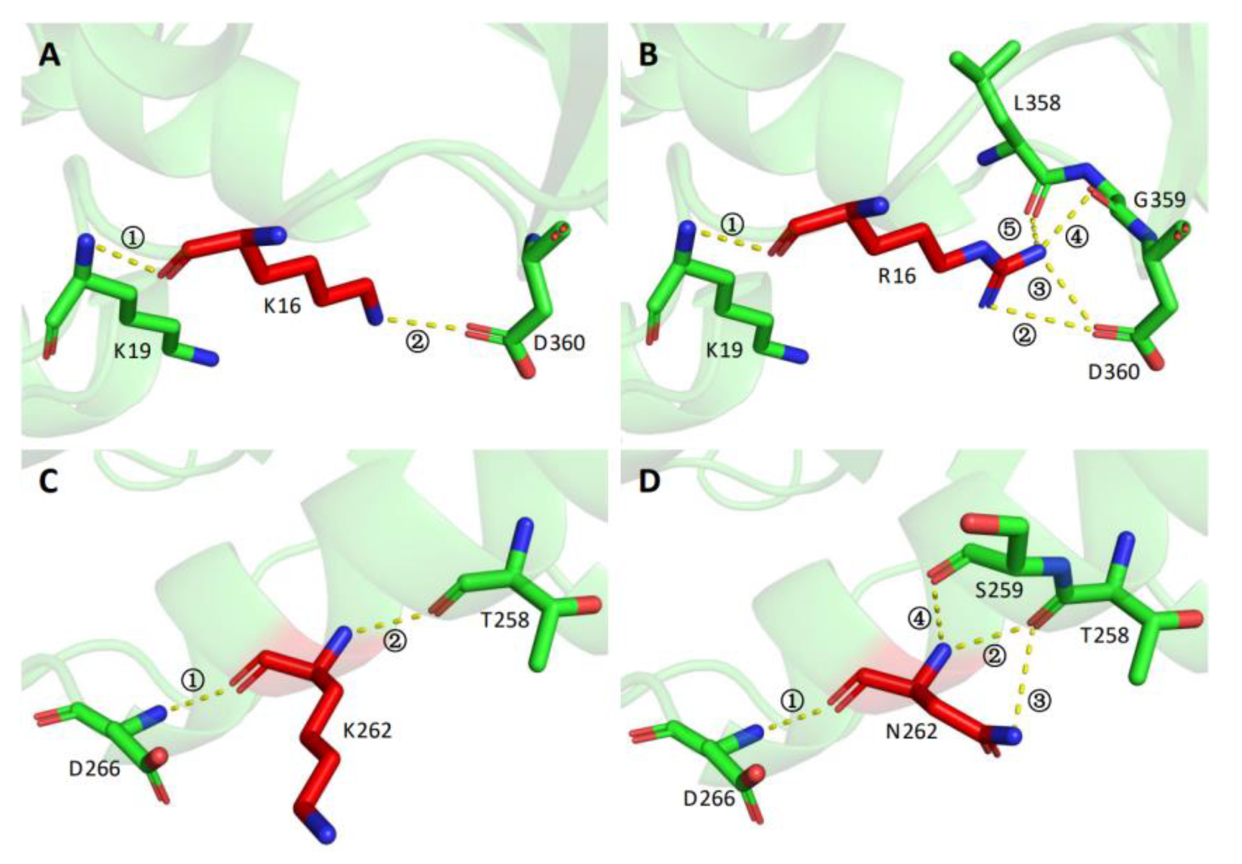 Foods 11 03039 g008 Foods 11 03039 g008