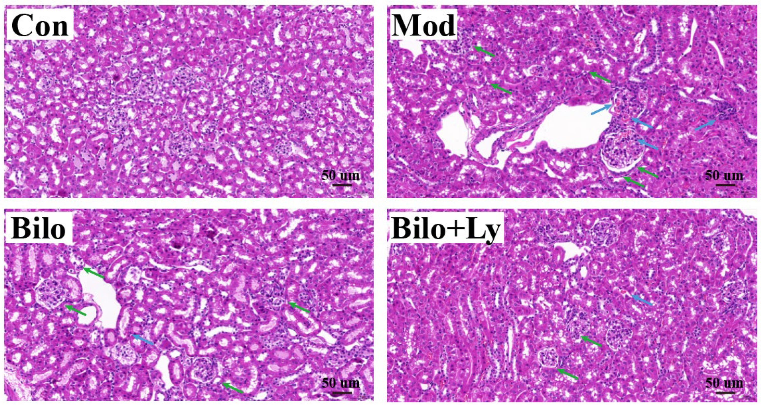 Foods 11 03042 g002 Foods 11 03042 g002