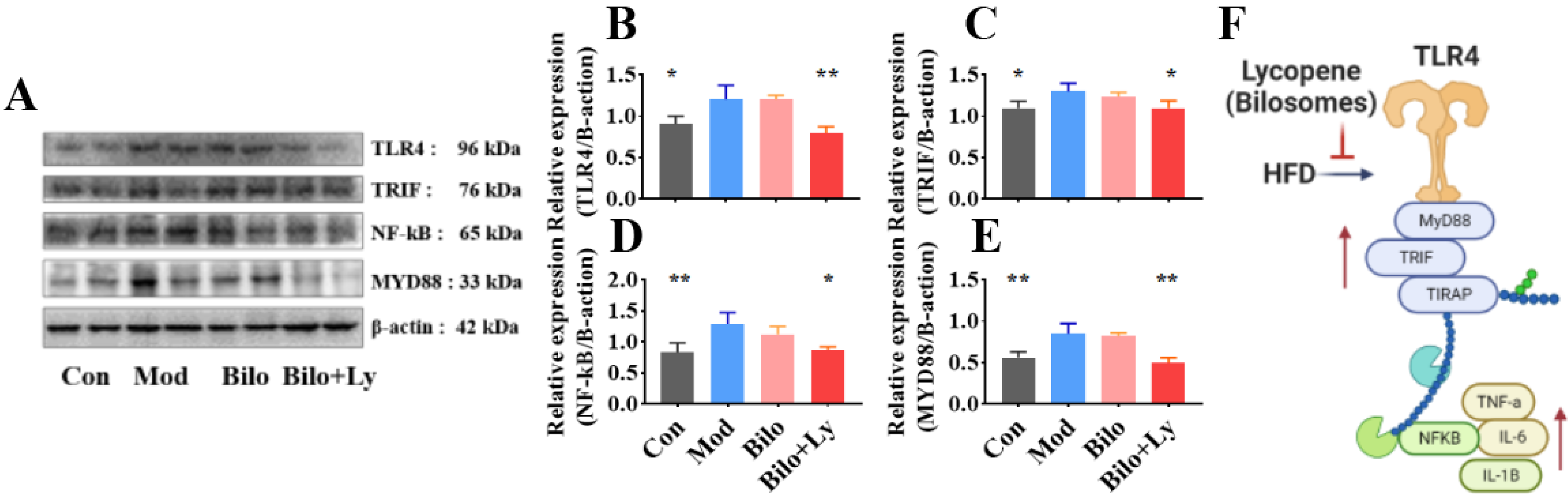 Foods 11 03042 g005 Foods 11 03042 g005