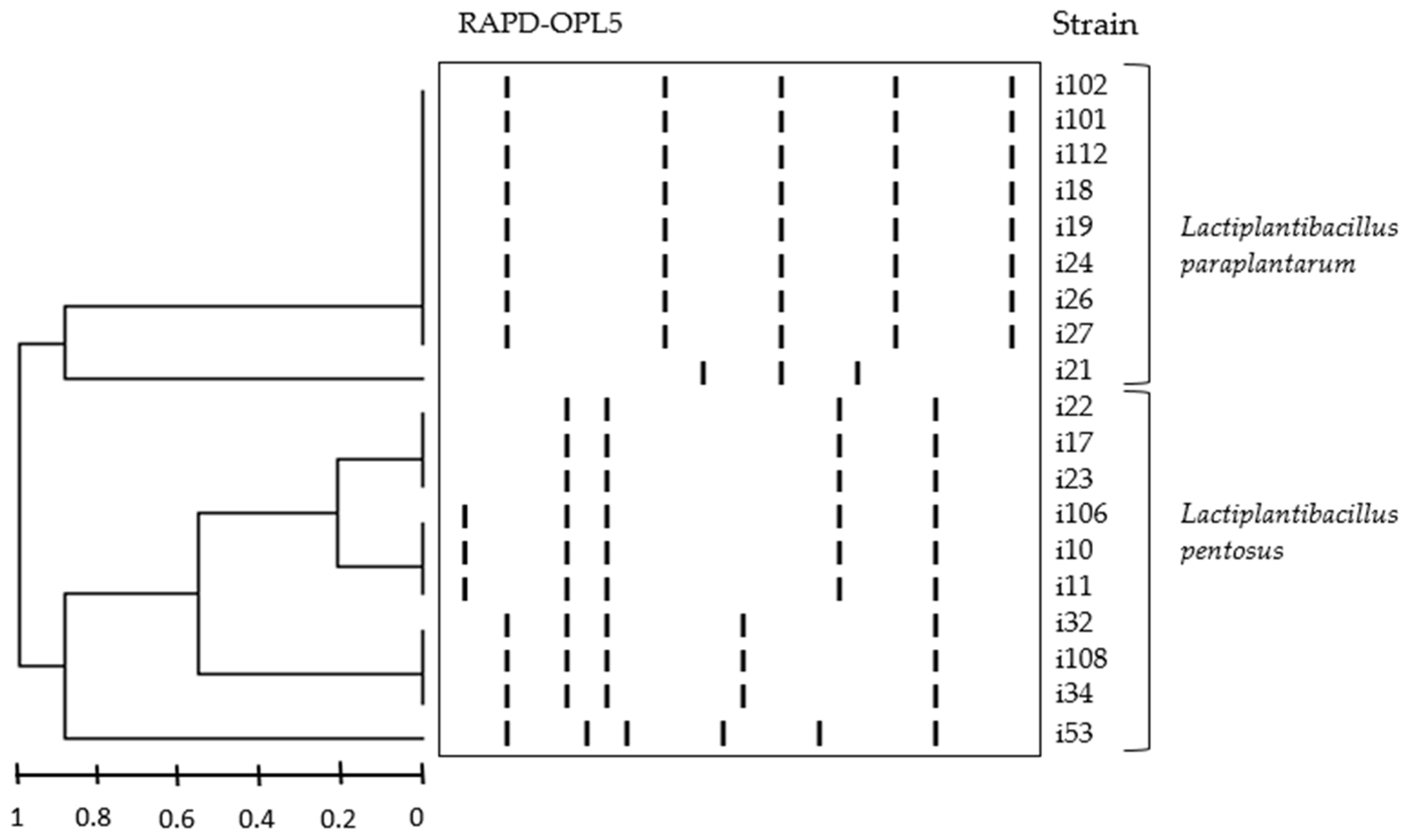Foods 11 03050 g001 Foods 11 03050 g001
