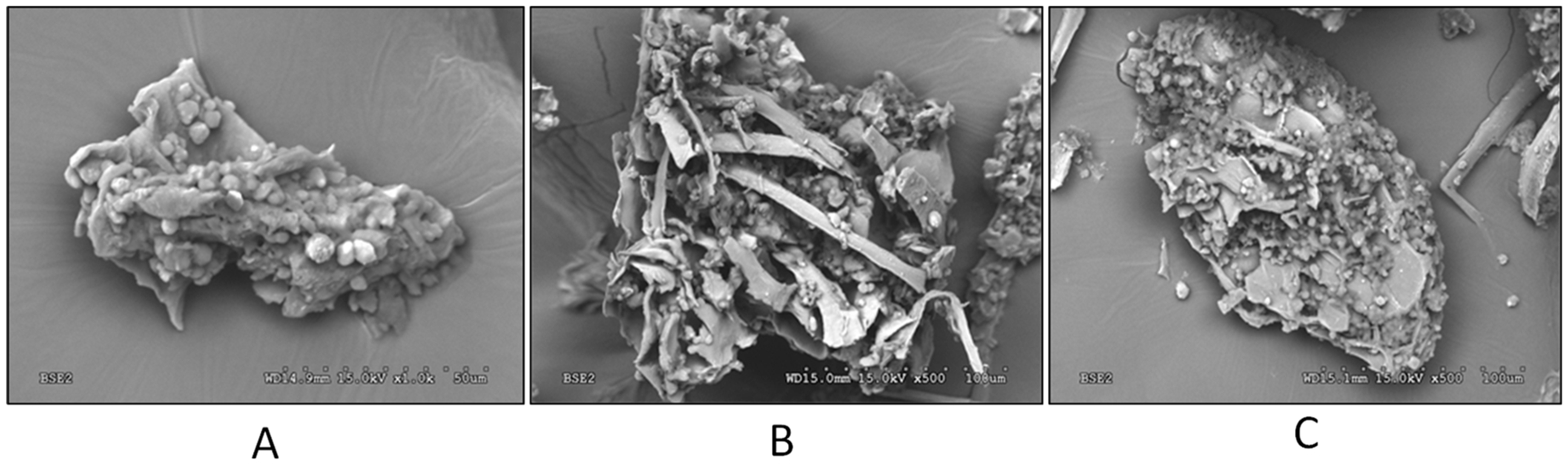 Foods 11 03068 g002 Foods 11 03068 g002