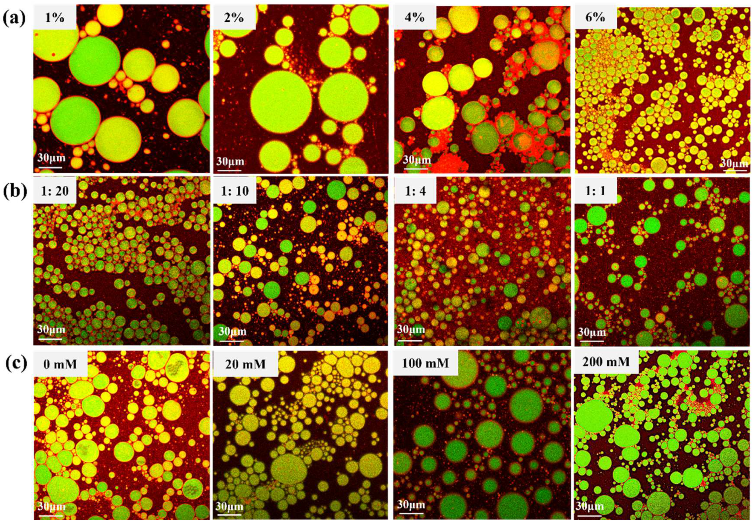 Foods 11 03078 g006 Foods 11 03078 g006