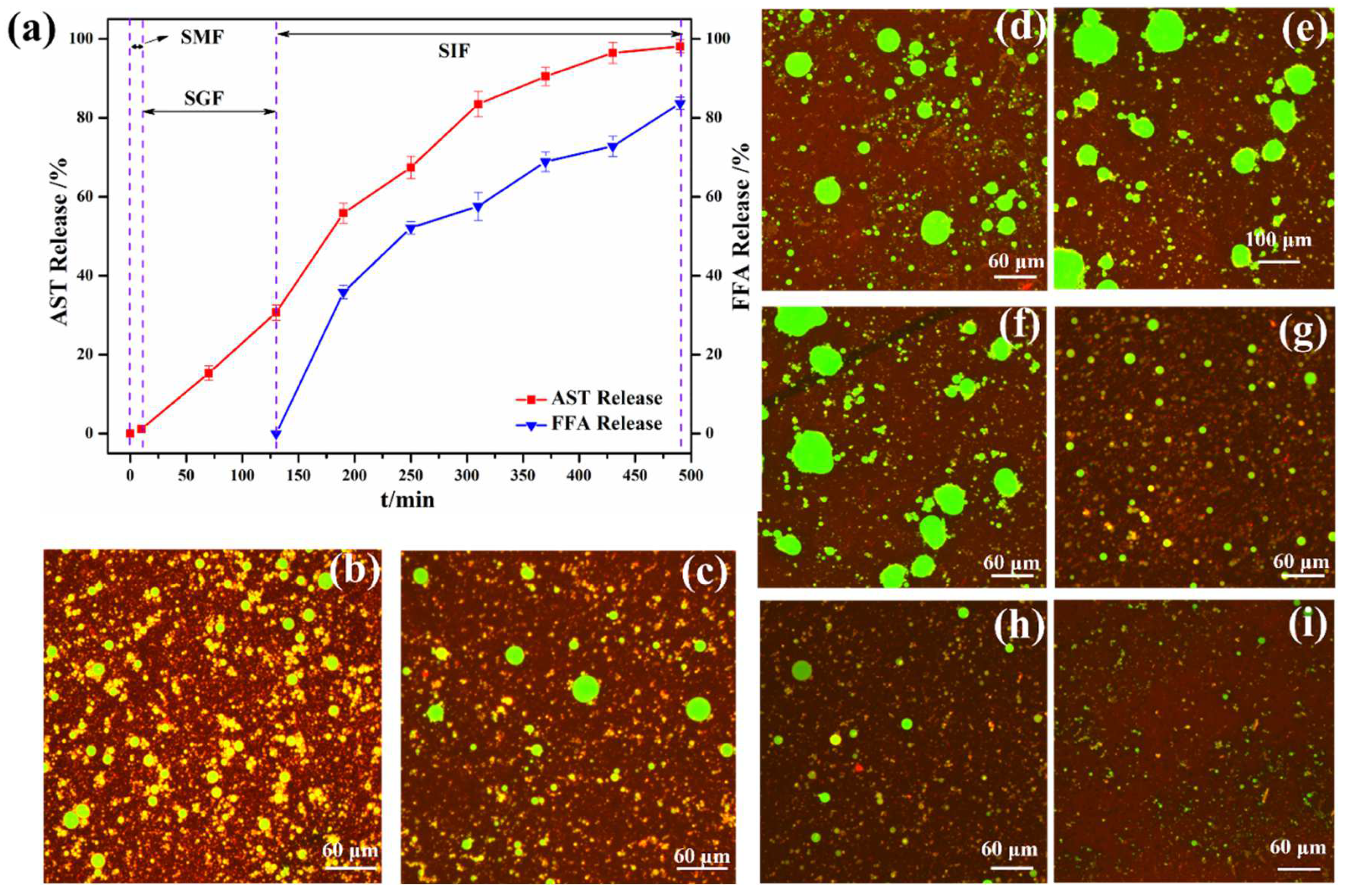 Foods 11 03078 g008 Foods 11 03078 g008