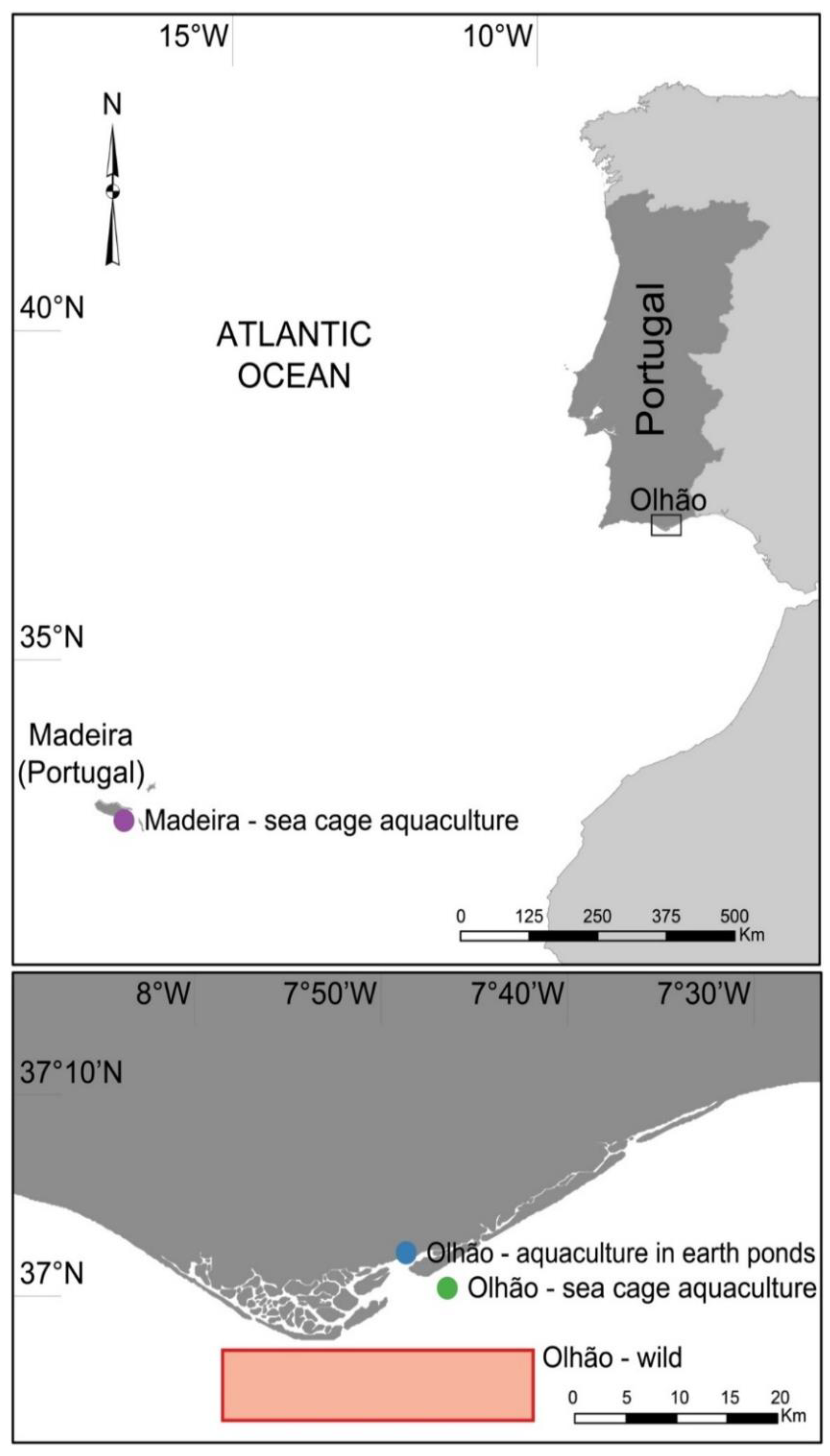 Foods 11 03081 g001 Foods 11 03081 g001