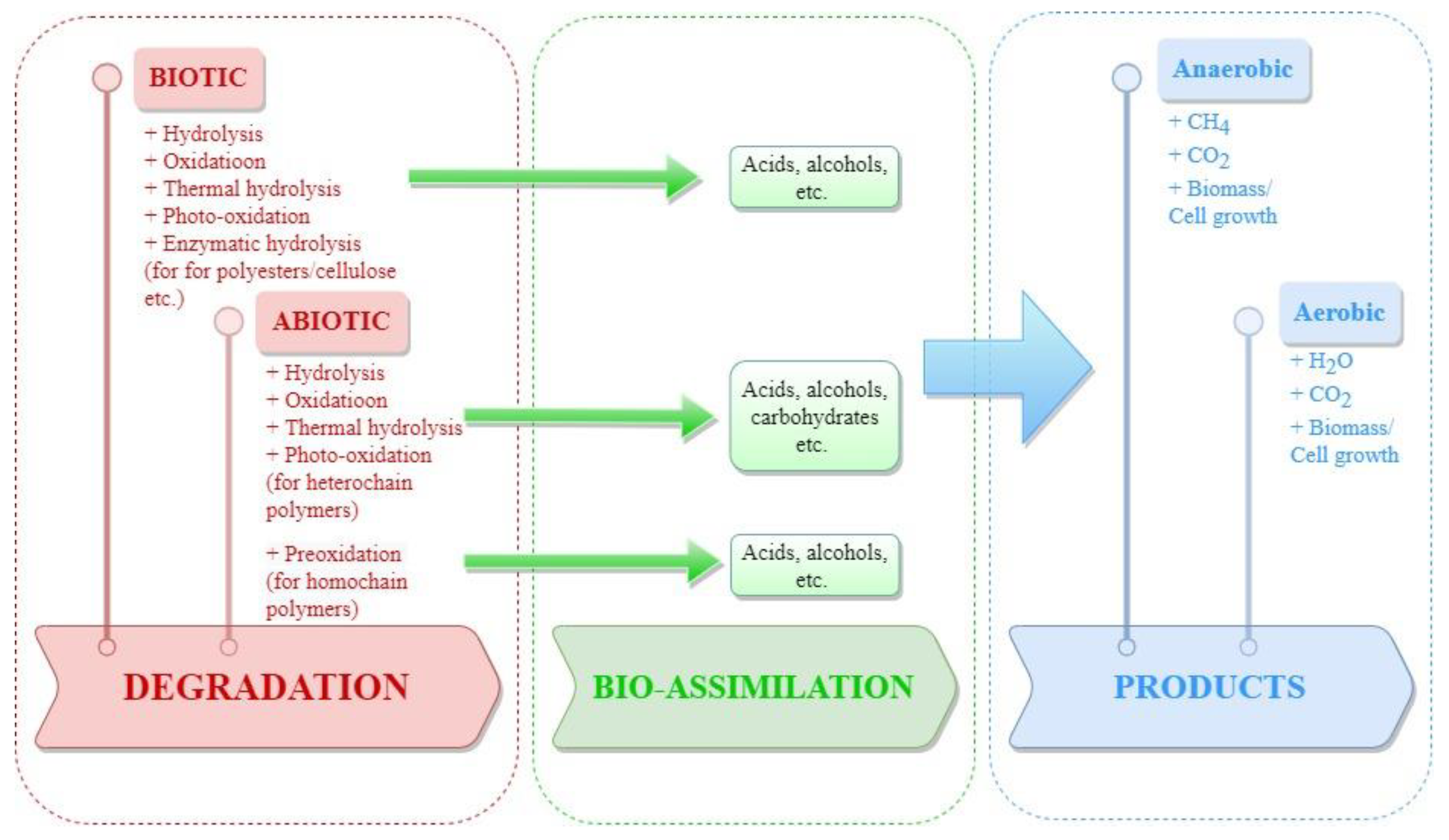 Foods 11 03087 g002 Foods 11 03087 g002