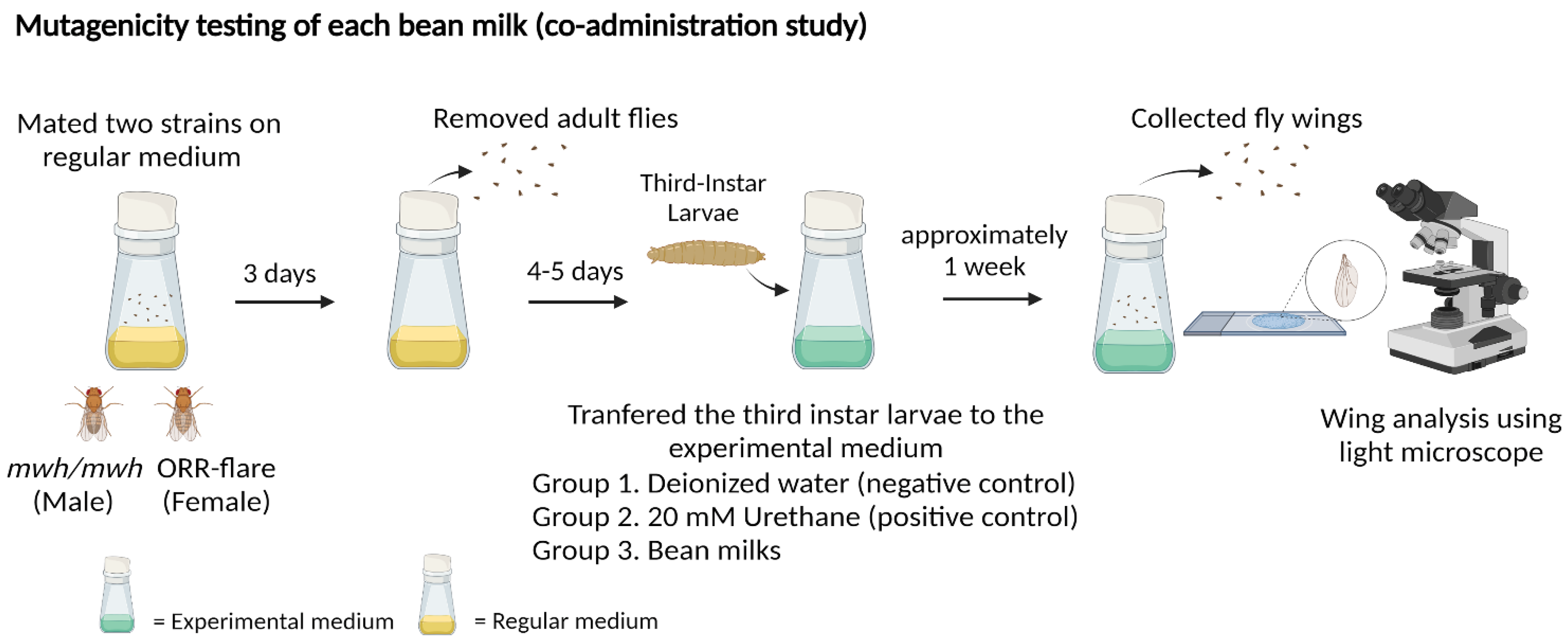 Foods 11 03090 g001 Foods 11 03090 g001
