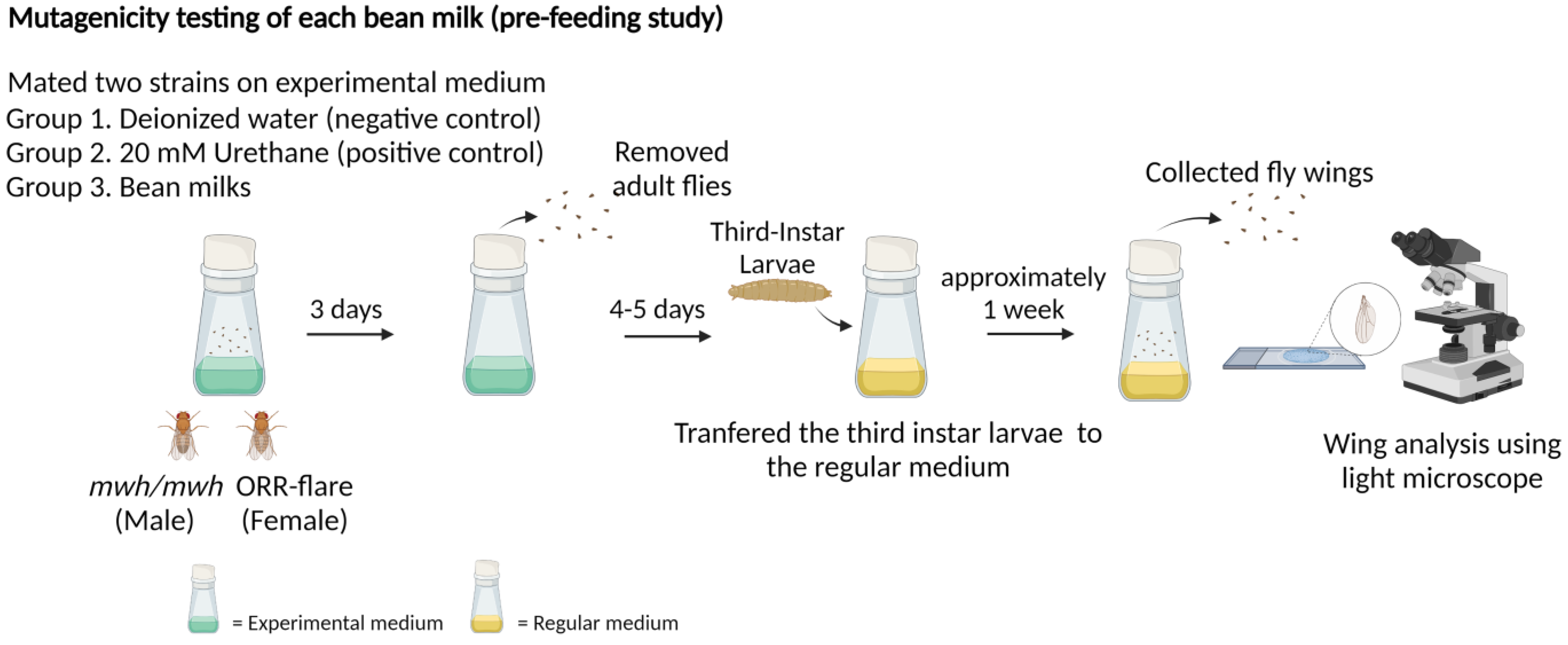 Foods 11 03090 g002 Foods 11 03090 g002