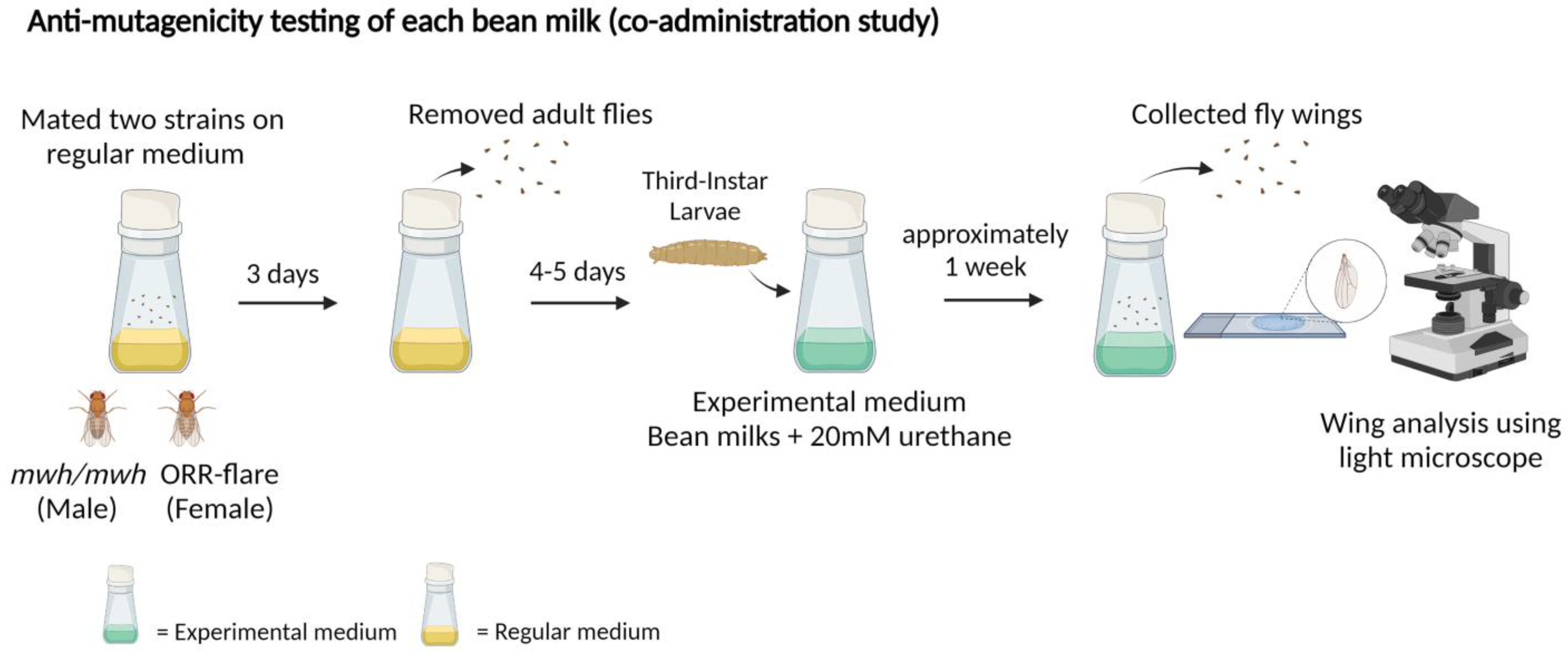 Foods 11 03090 g003 Foods 11 03090 g003