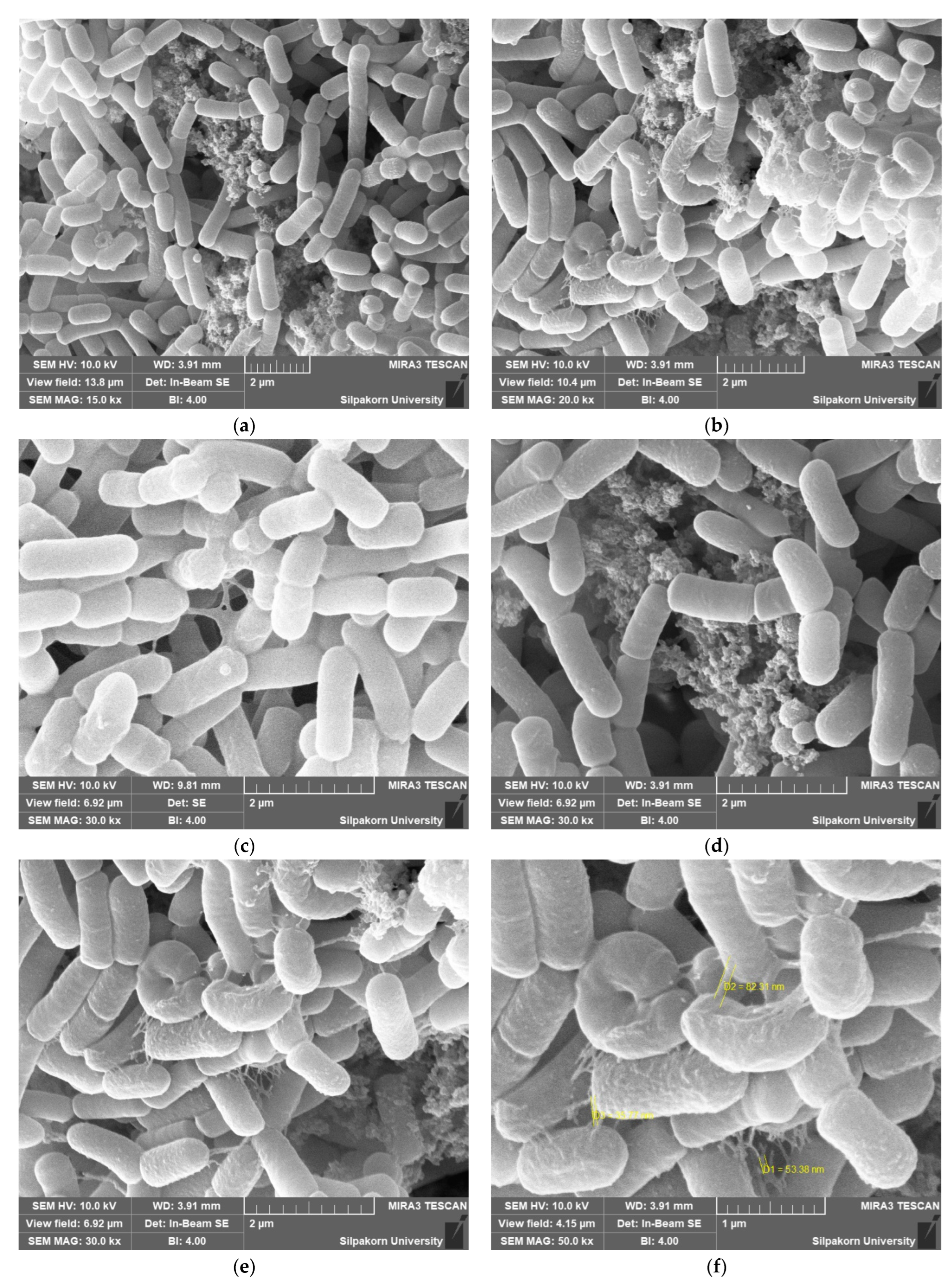 Foods 11 03113 g003 Foods 11 03113 g003