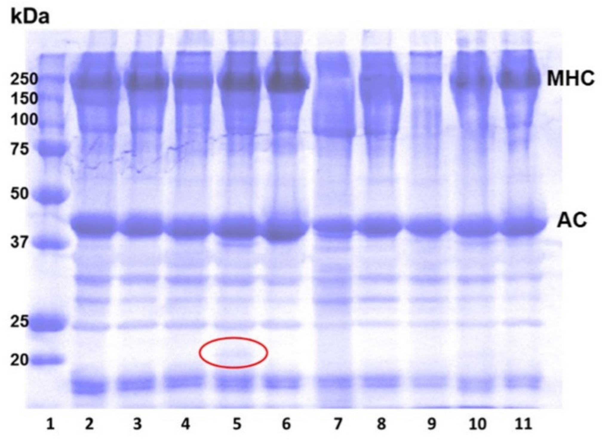 Foods 11 03114 g002 Foods 11 03114 g002