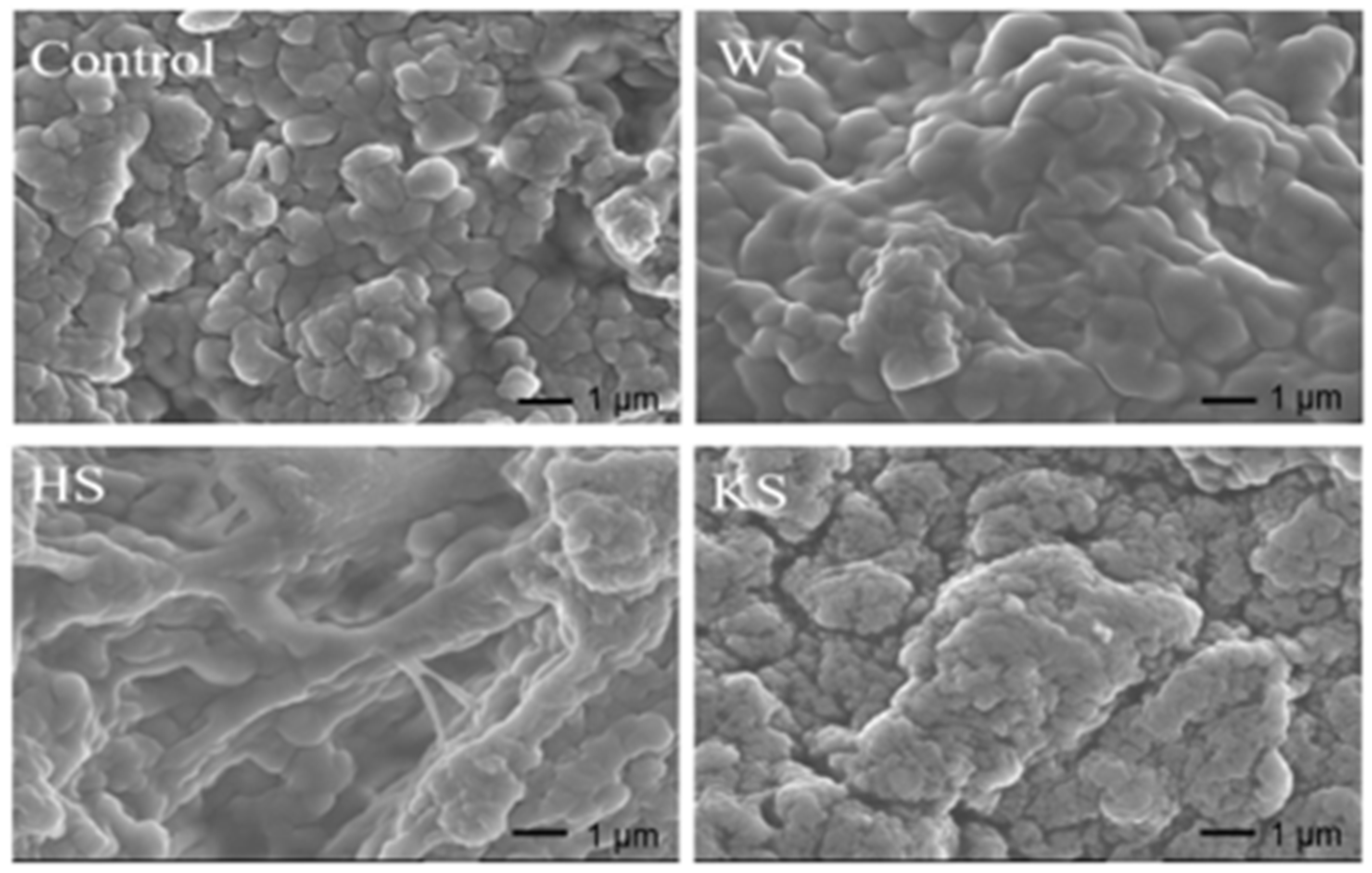 Foods 11 03115 g003 Foods 11 03115 g003