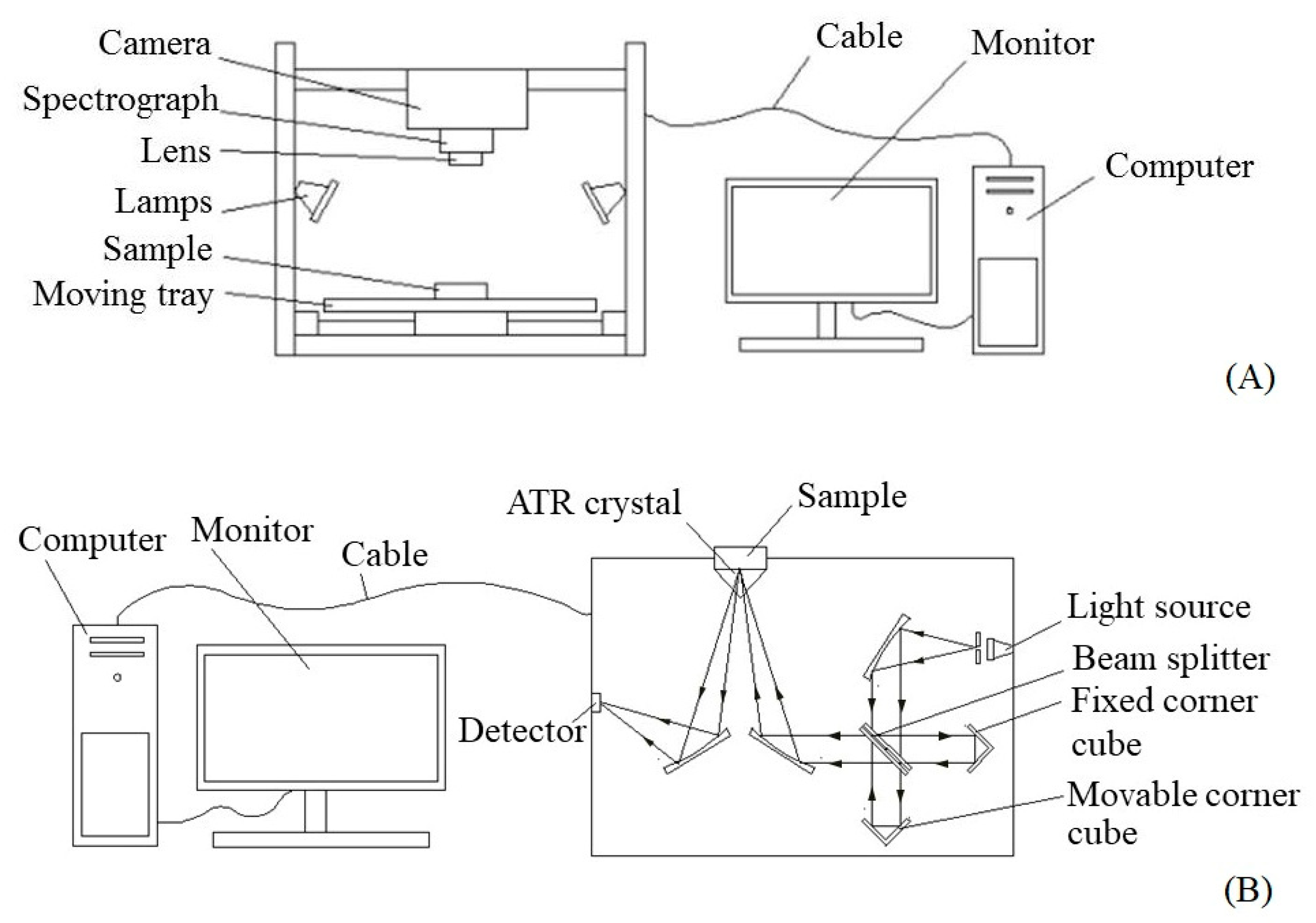 Foods 11 03122 g001 Foods 11 03122 g001