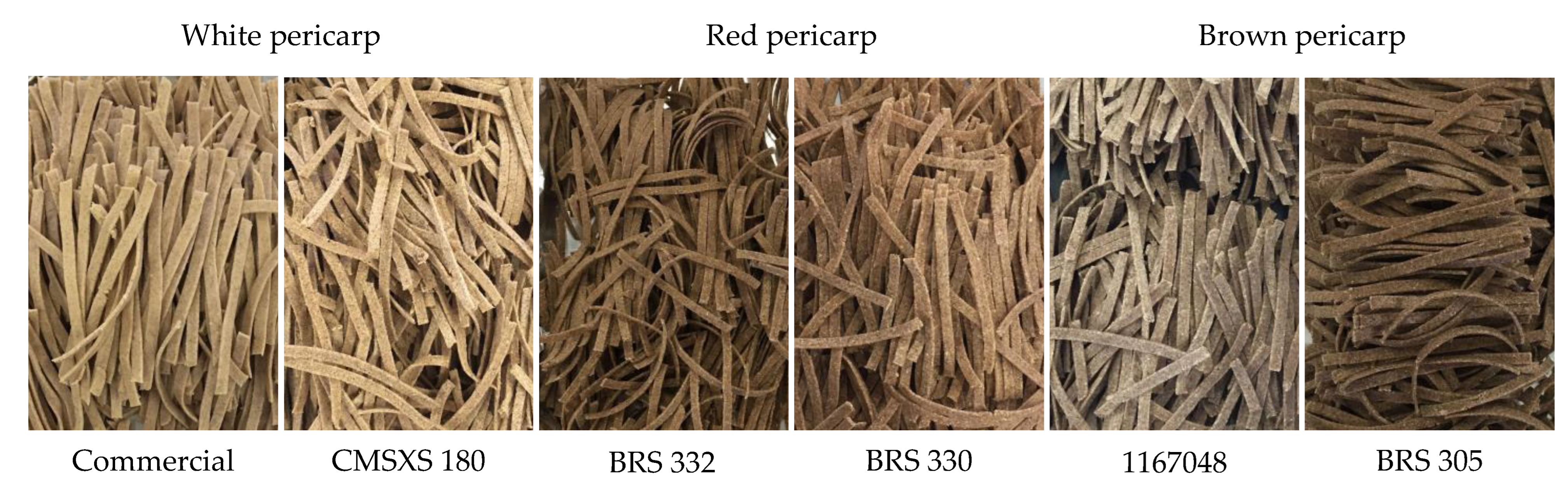 Foods 11 03124 g001 Foods 11 03124 g001