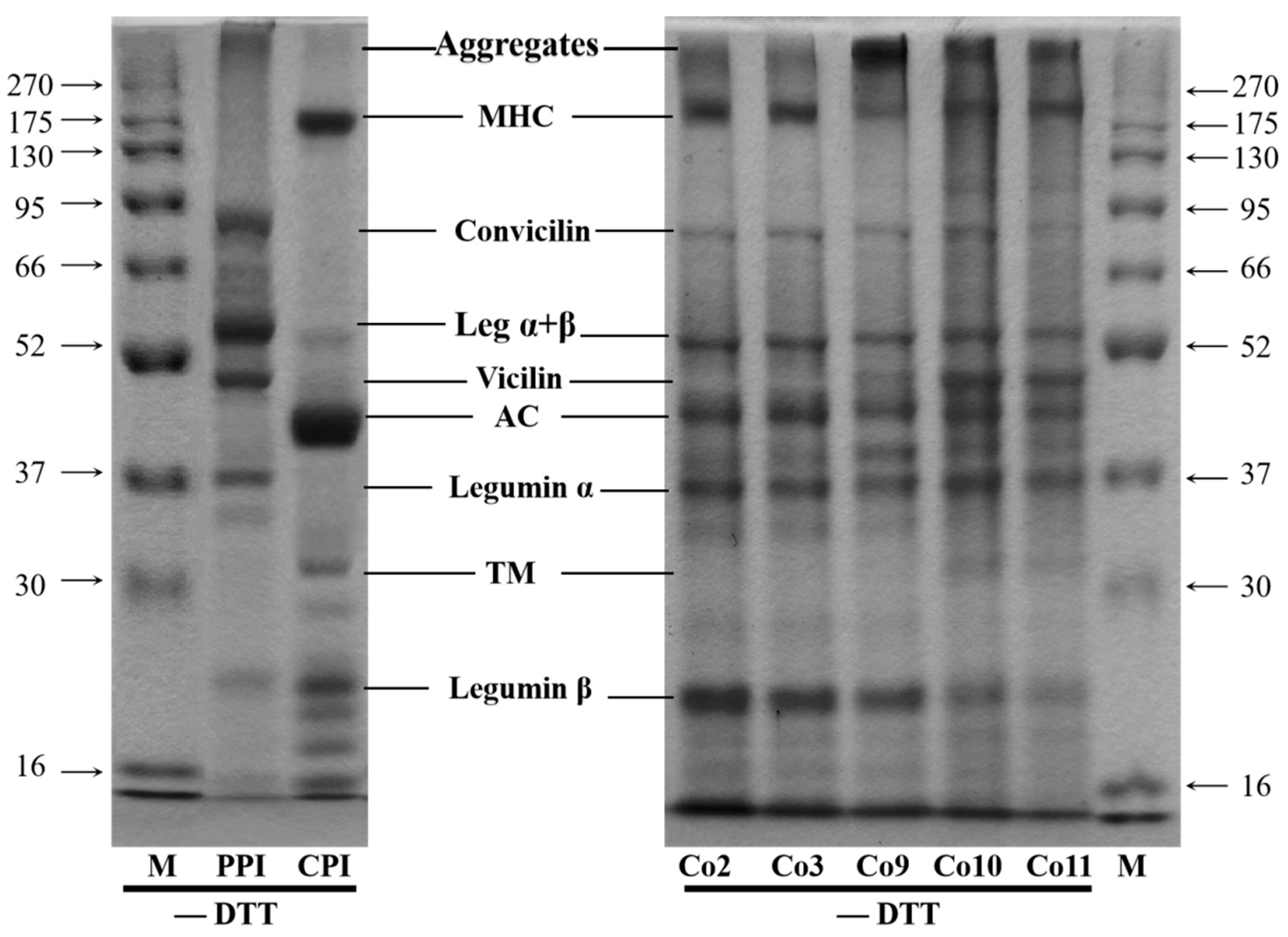Foods 11 03136 g002 Foods 11 03136 g002