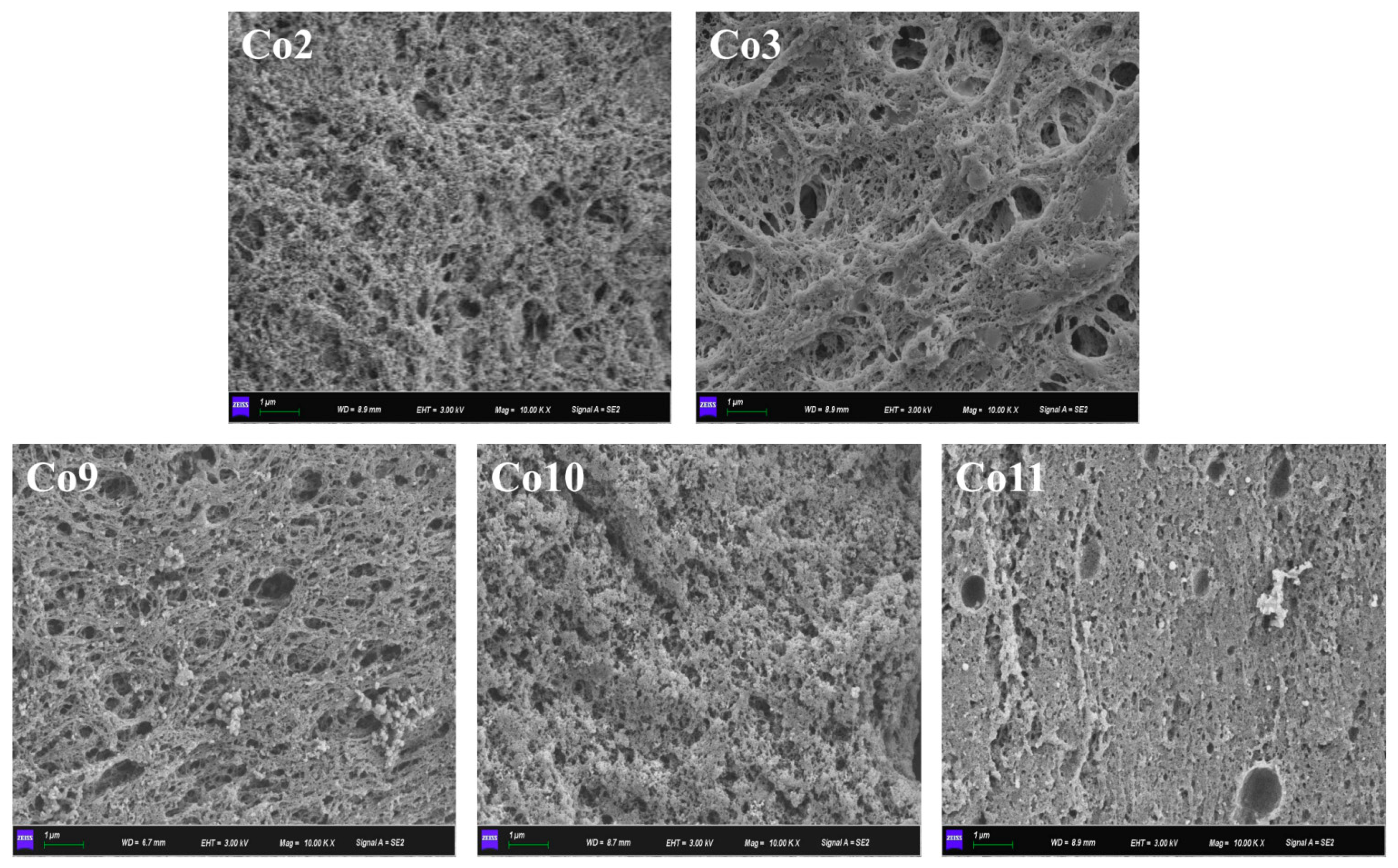 Foods 11 03136 g010 Foods 11 03136 g010