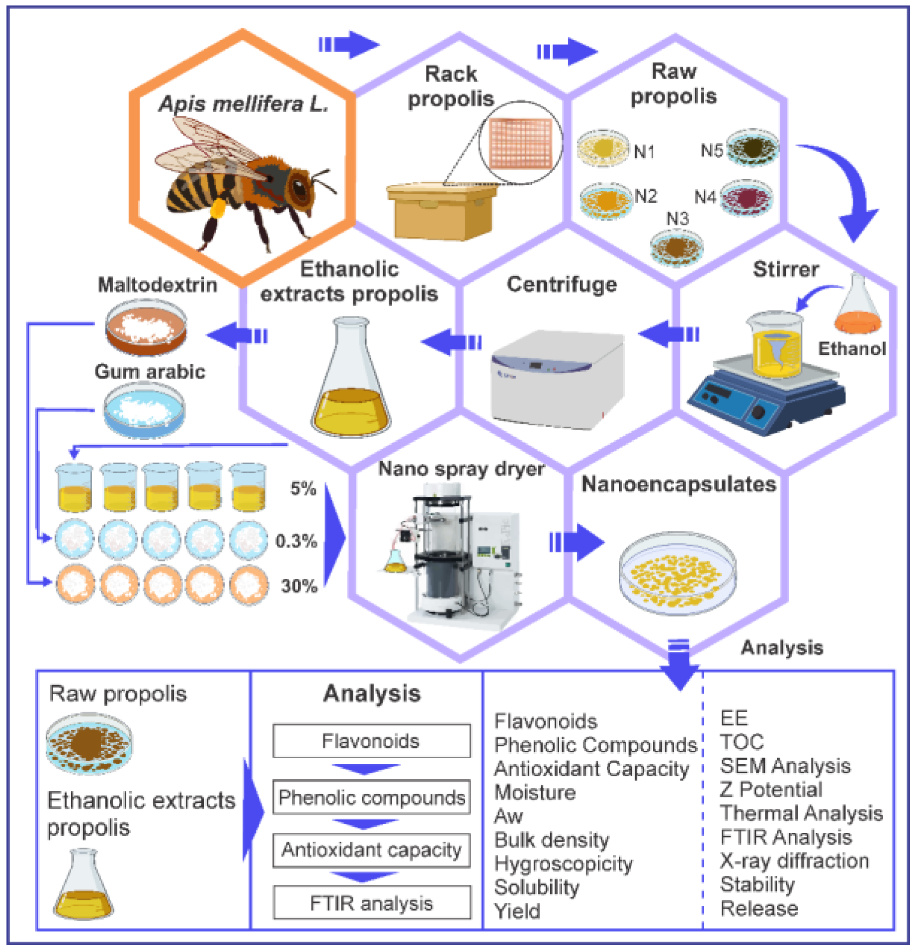 Foods 11 03153 g003 Foods 11 03153 g003