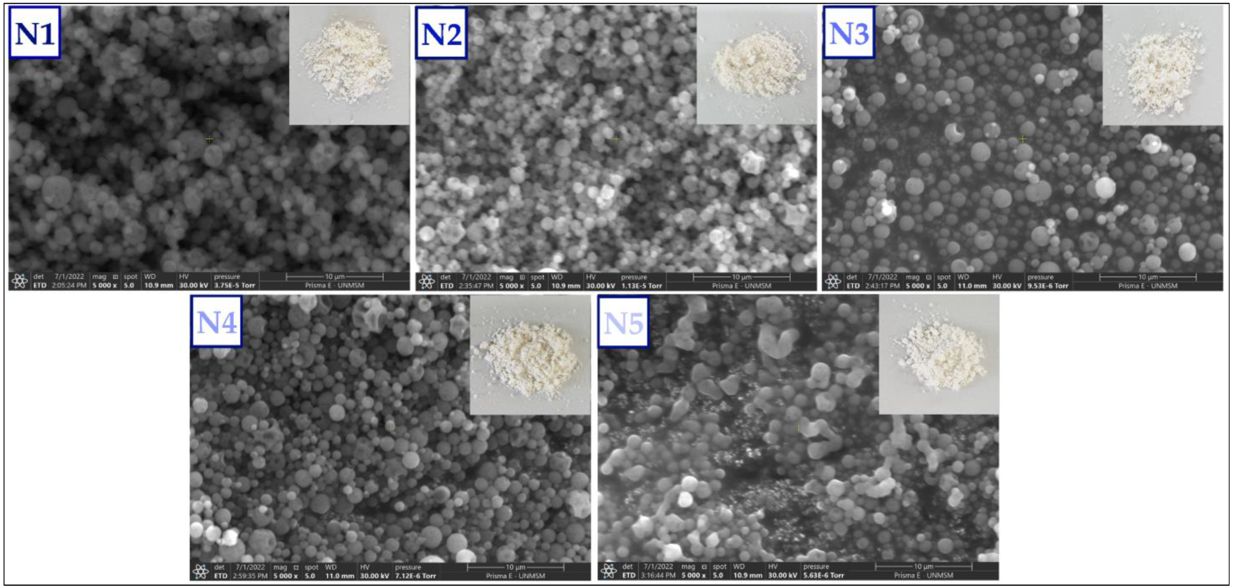 Foods 11 03153 g005 Foods 11 03153 g005