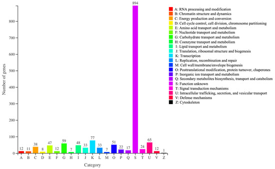 Comparative Transcriptomic and Metabolomic Analyses Reveal