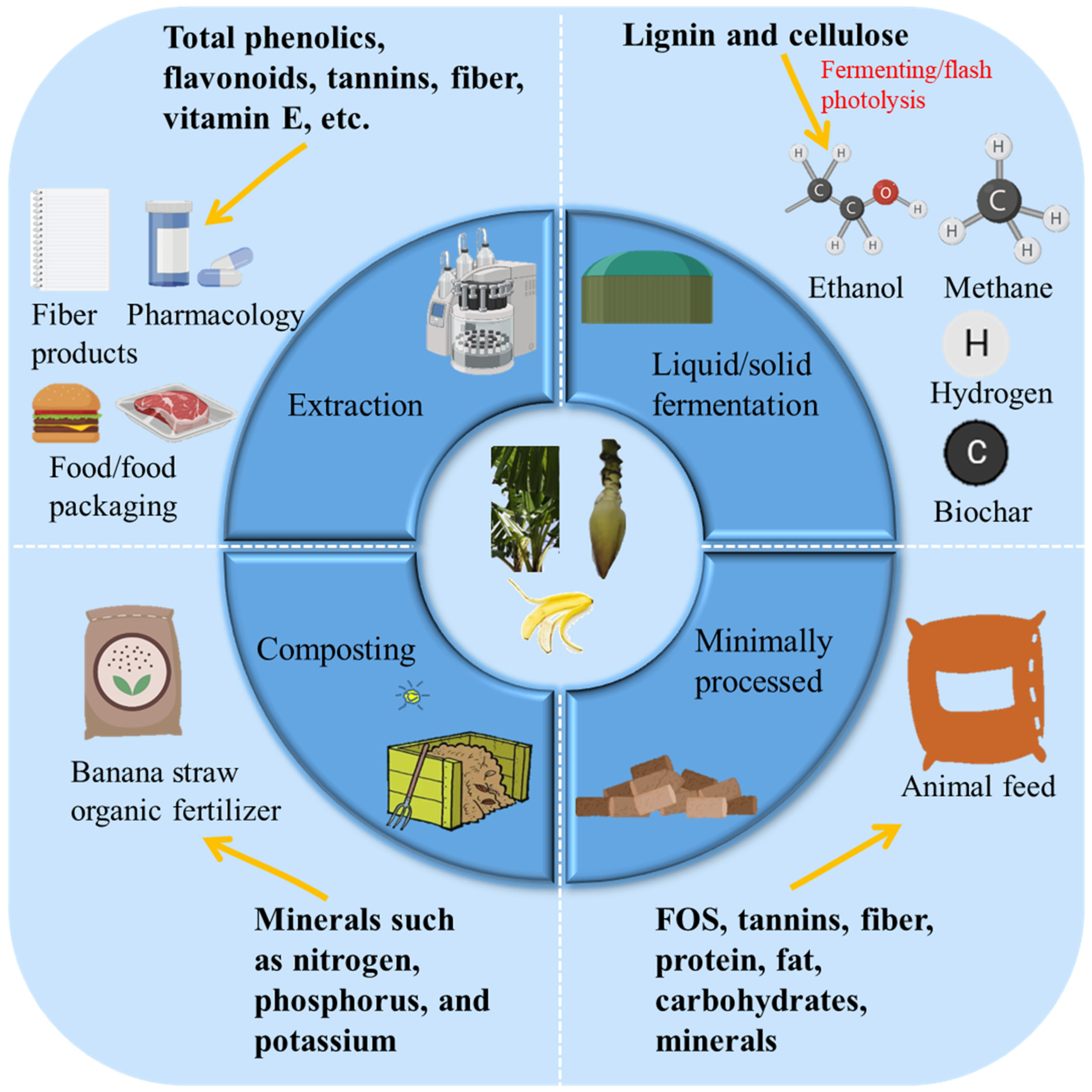 Foods 11 03170 g003 Foods 11 03170 g003