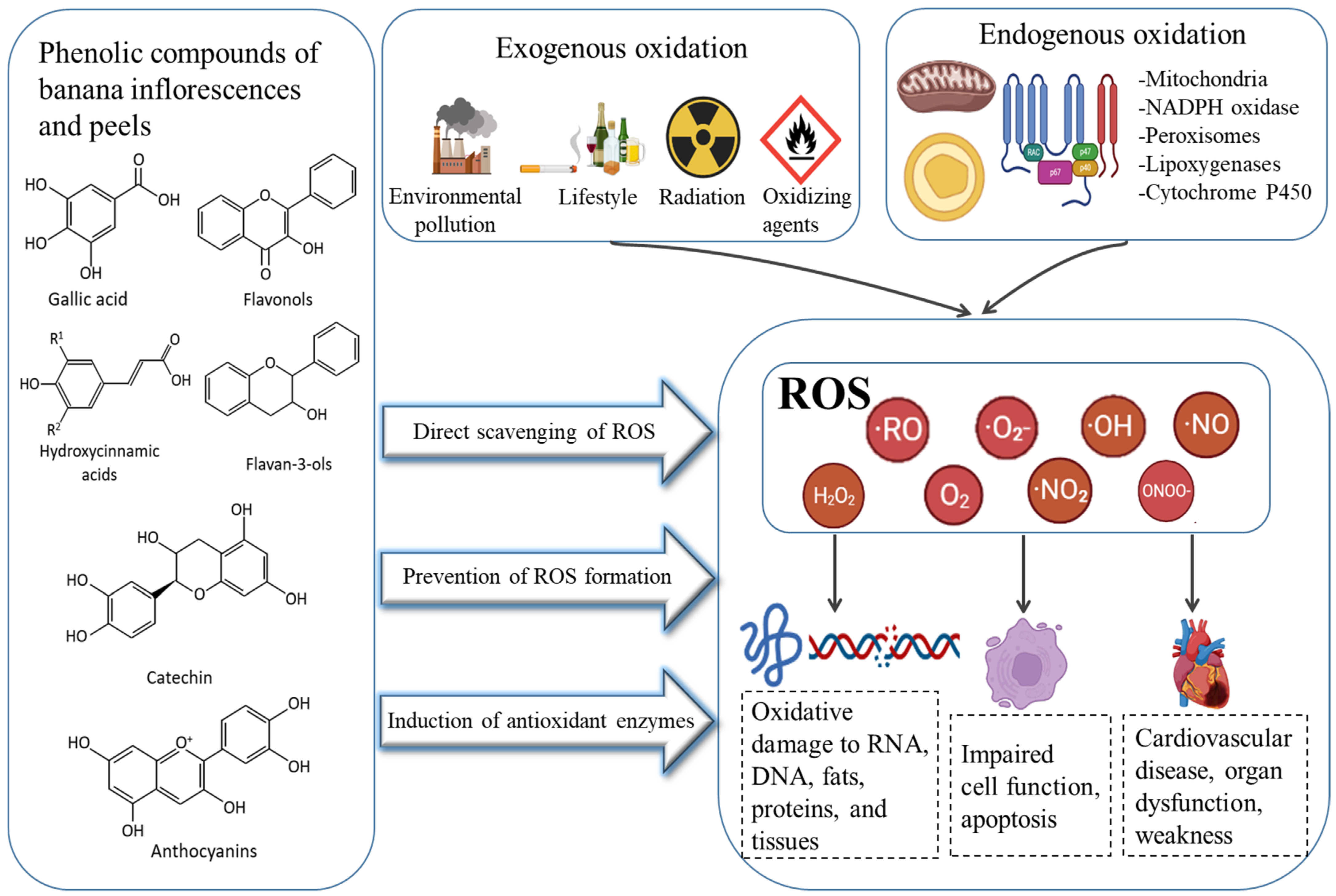 Foods 11 03170 g006 Foods 11 03170 g006