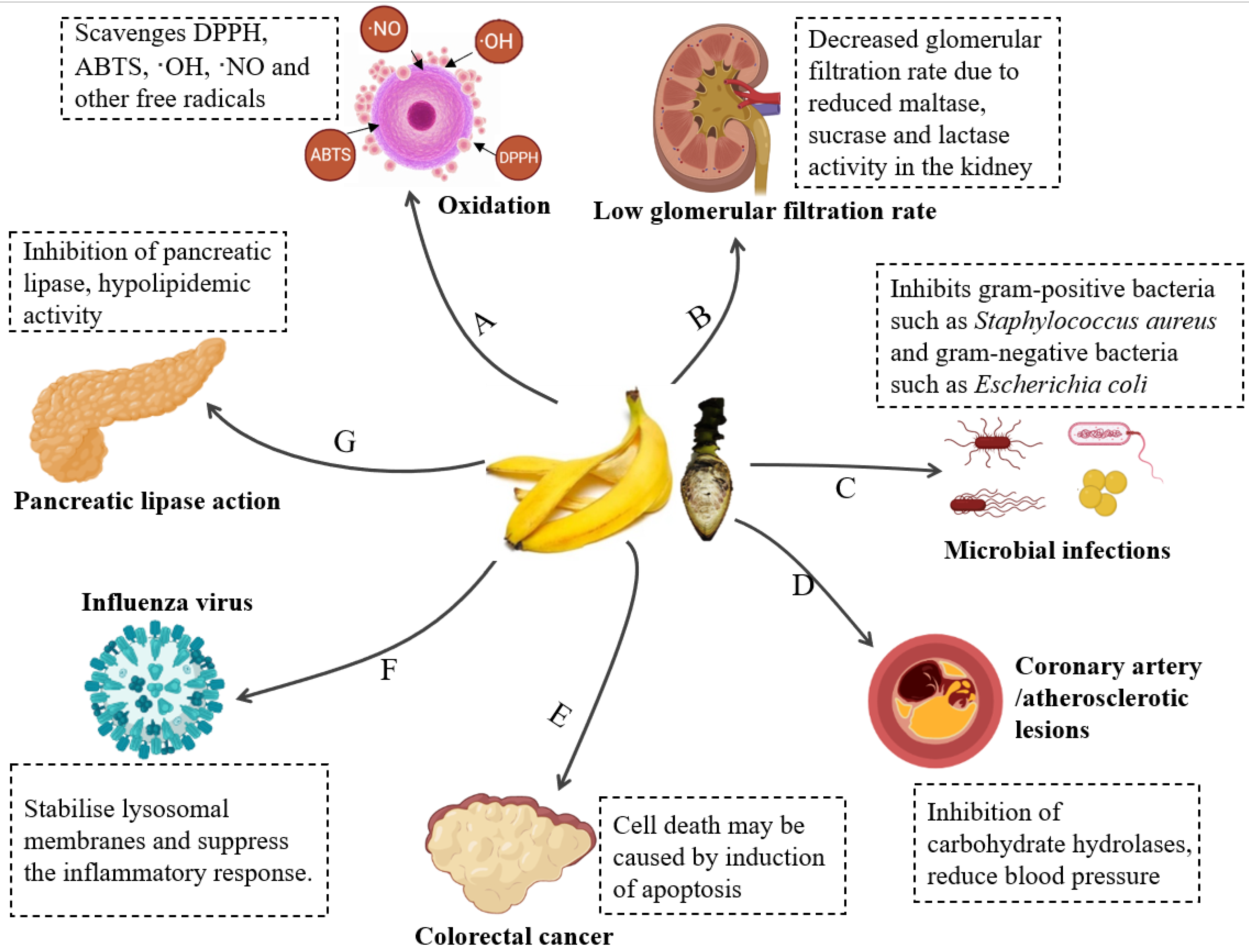 Foods 11 03170 g007 Foods 11 03170 g007