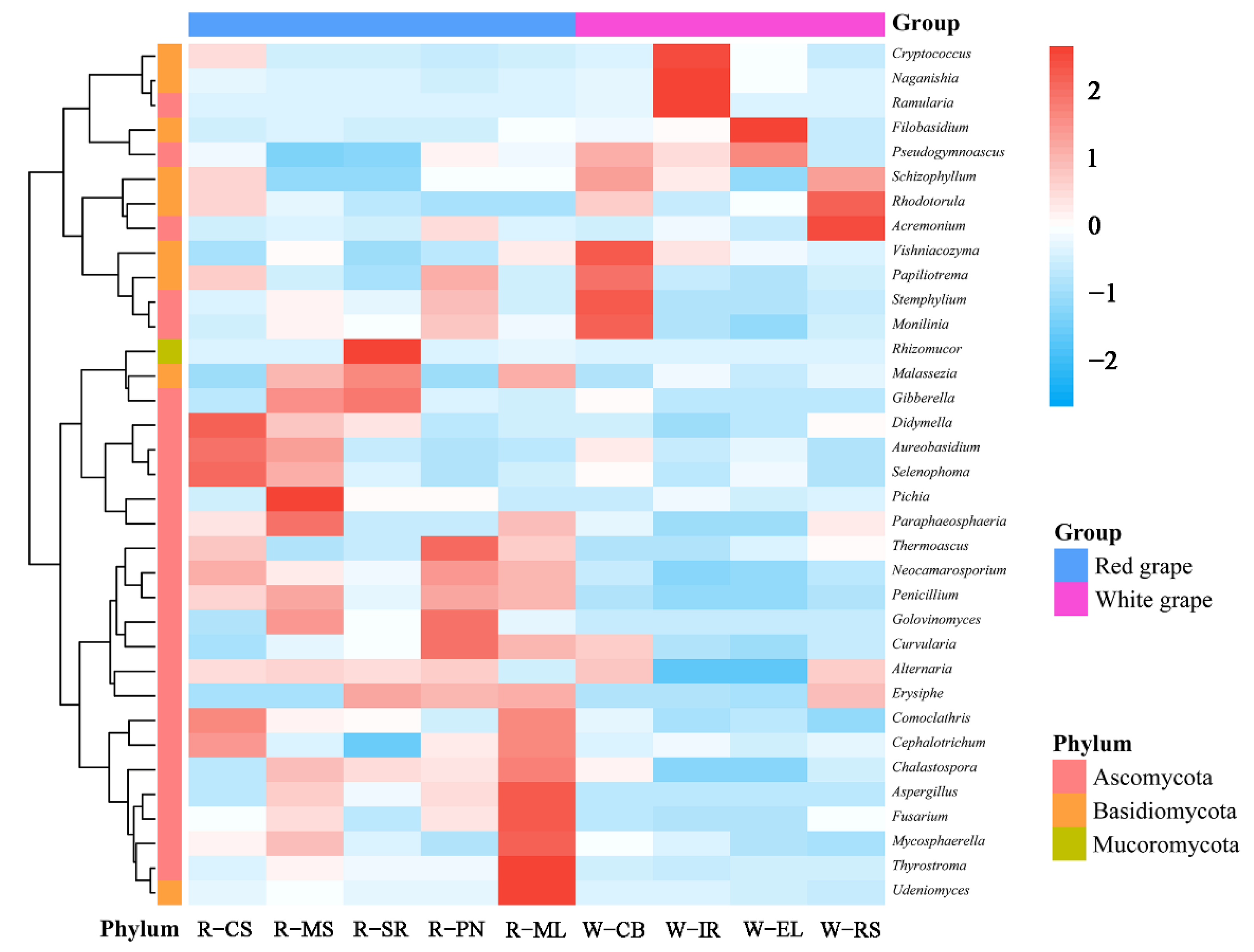 Foods 11 03174 g005 Foods 11 03174 g005