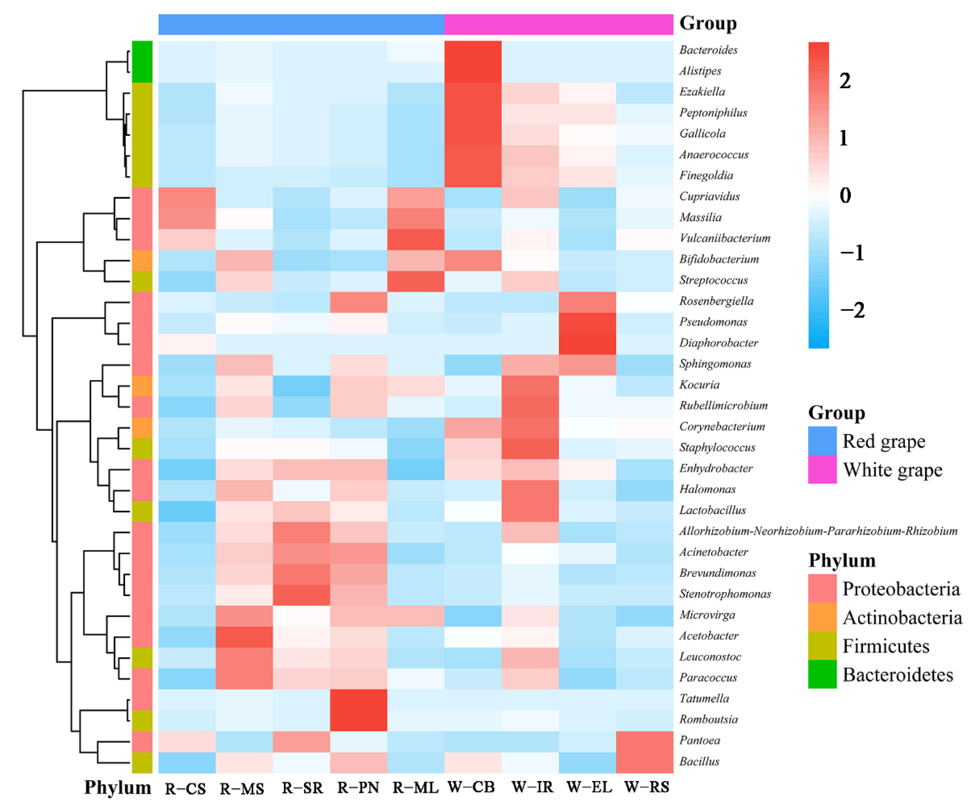 Foods 11 03174 g006 Foods 11 03174 g006