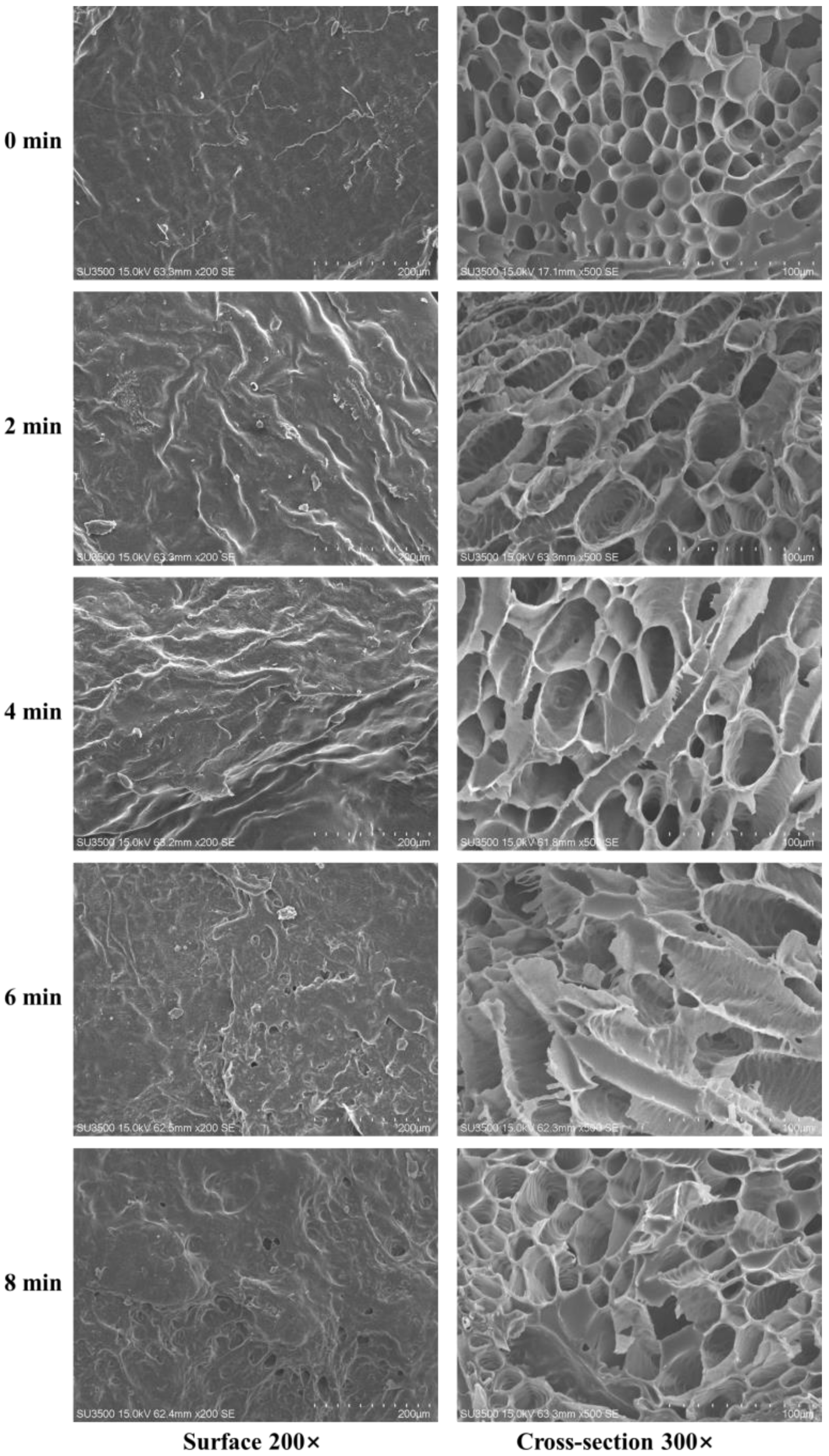 Foods 11 03186 g005 Foods 11 03186 g005