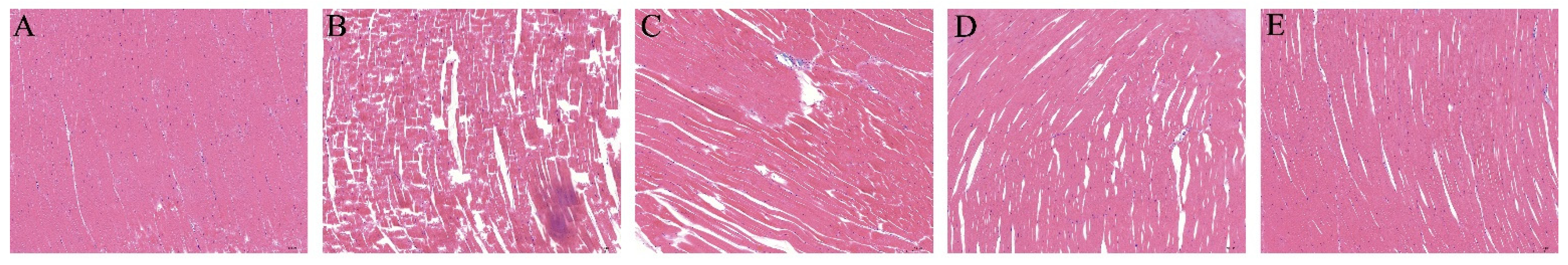 Foods 11 03189 g004 Foods 11 03189 g004