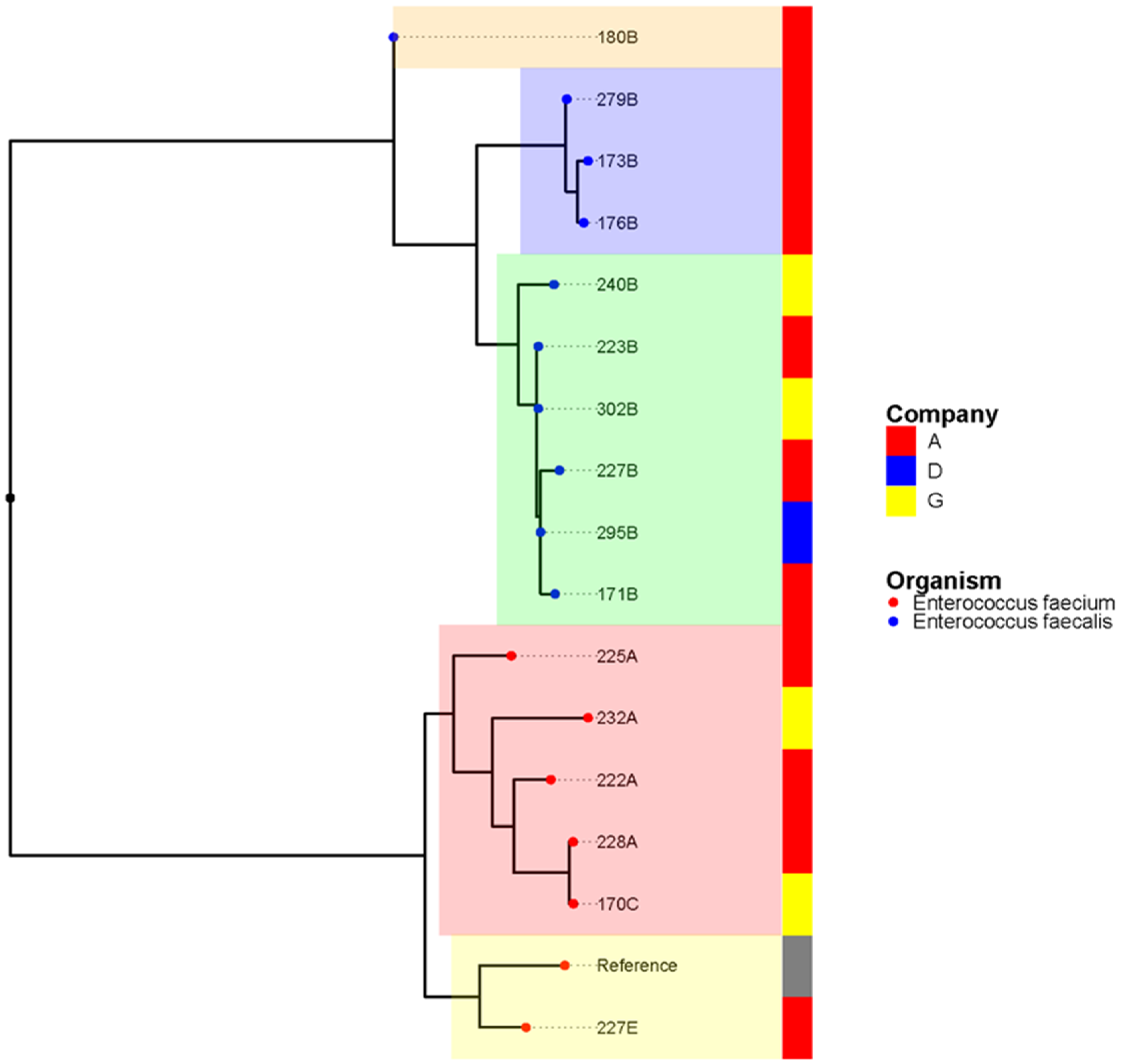 Foods 11 03190 g001 Foods 11 03190 g001