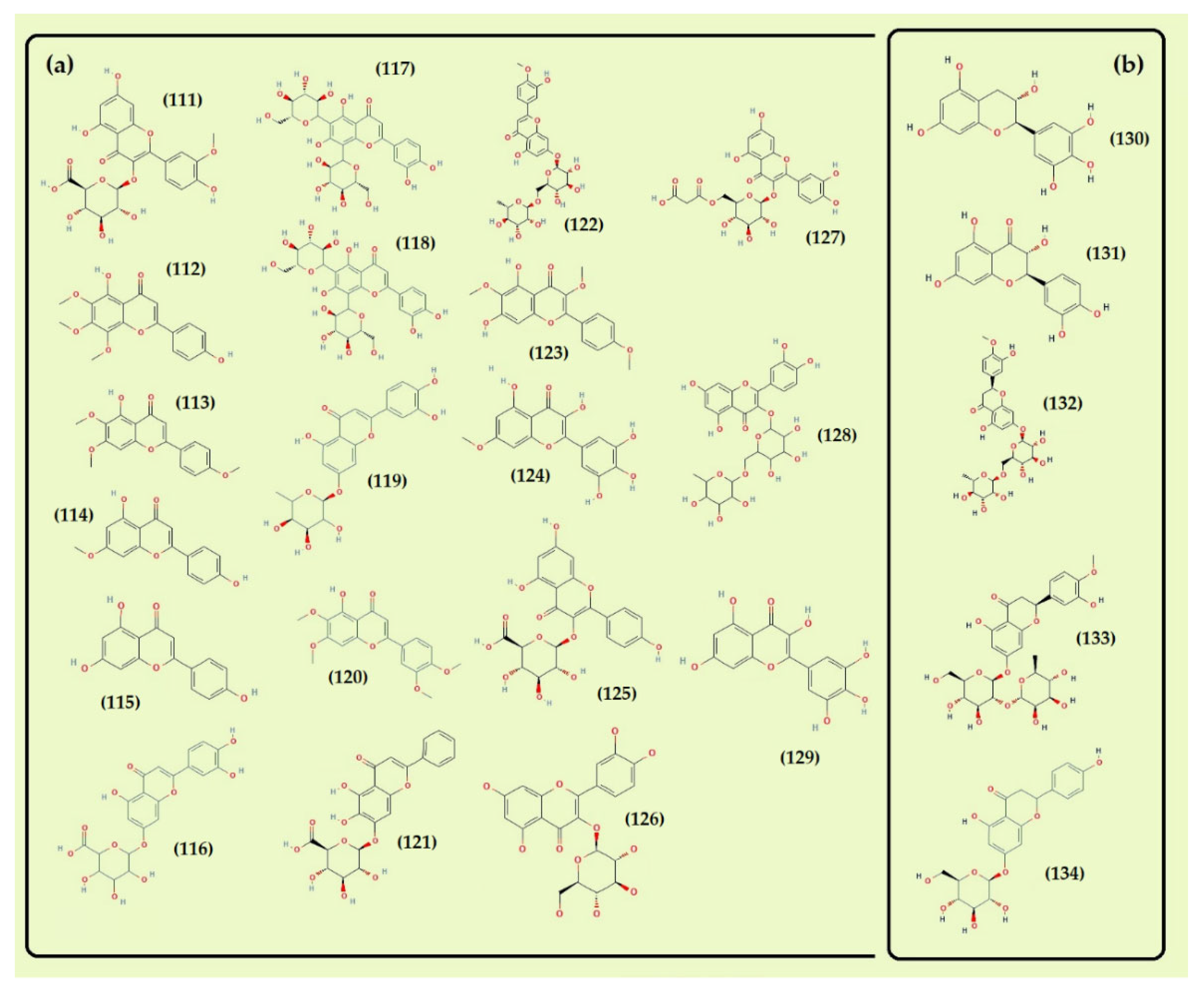 Foods 11 03195 g006b
