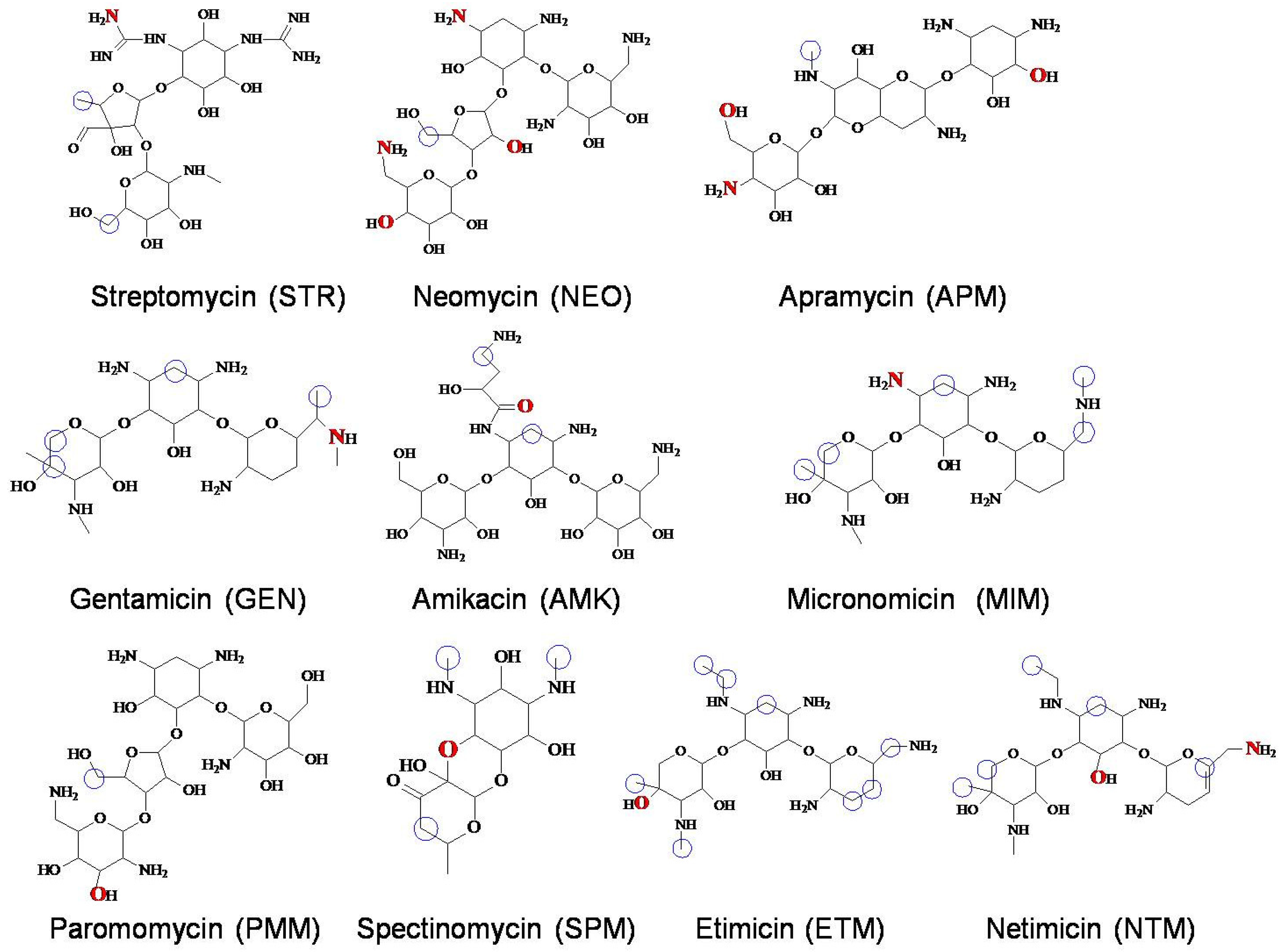 Foods 11 03196 g001 Foods 11 03196 g001