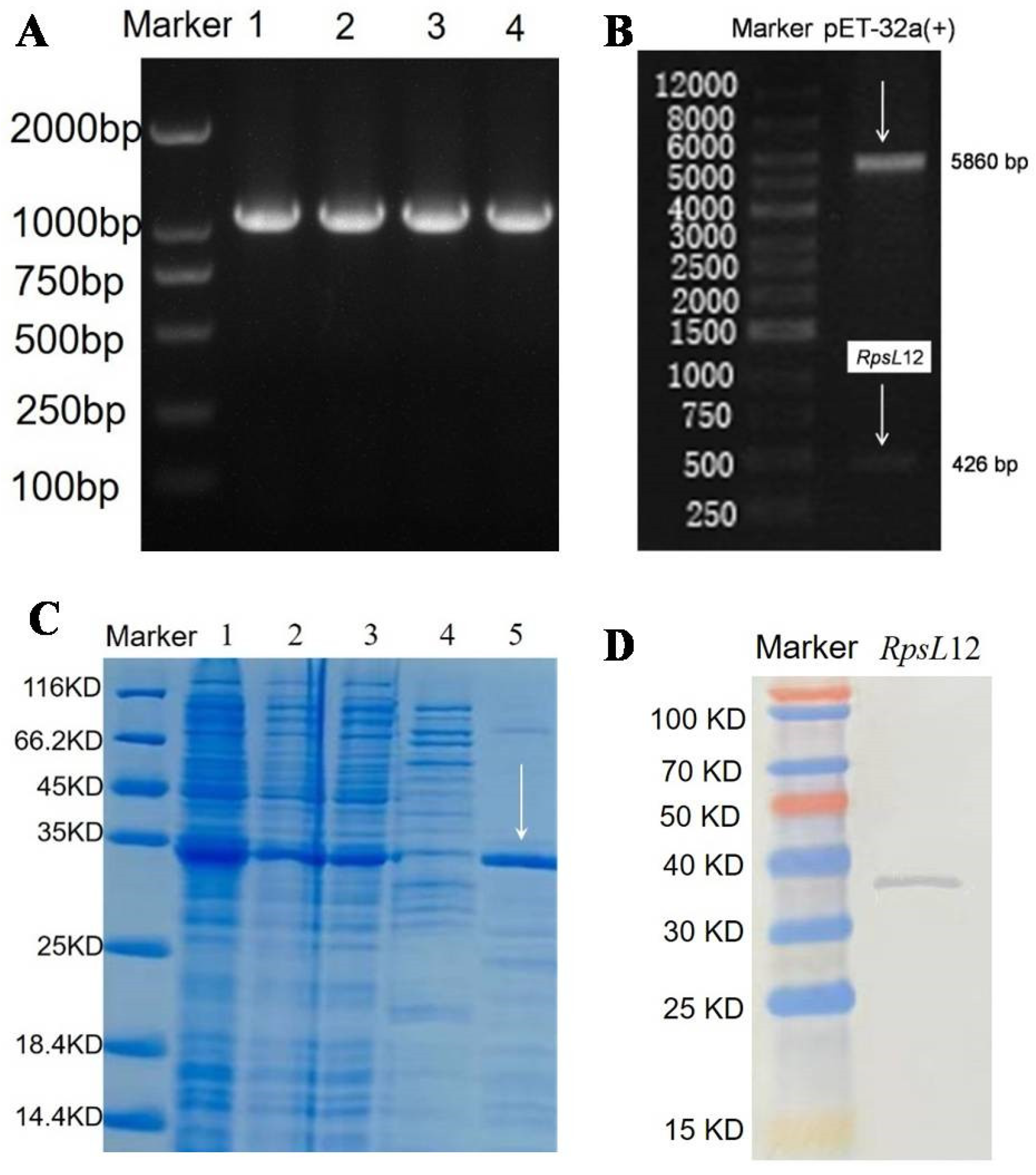 Foods 11 03196 g003 Foods 11 03196 g003