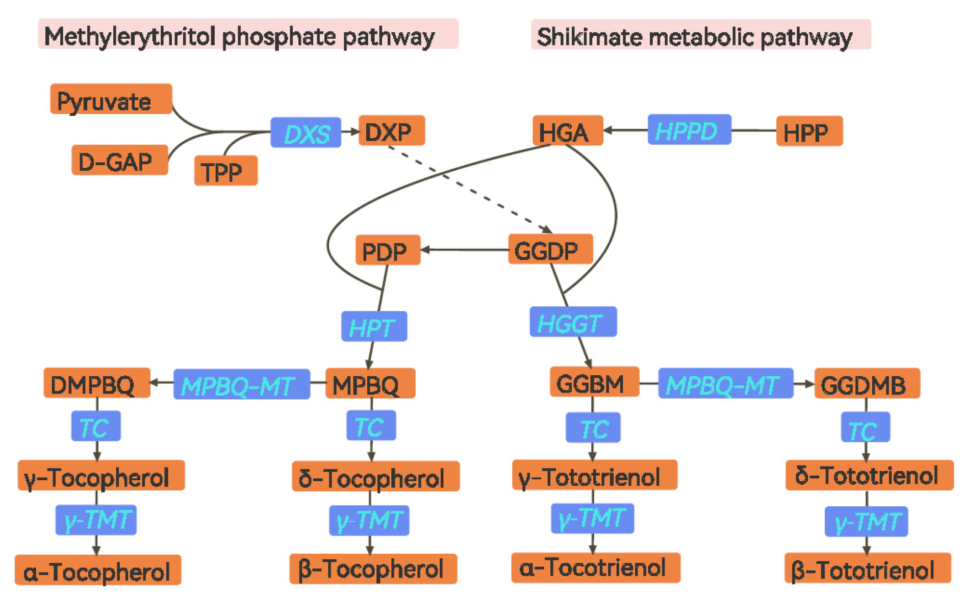 Foods 11 03200 g001 Foods 11 03200 g001