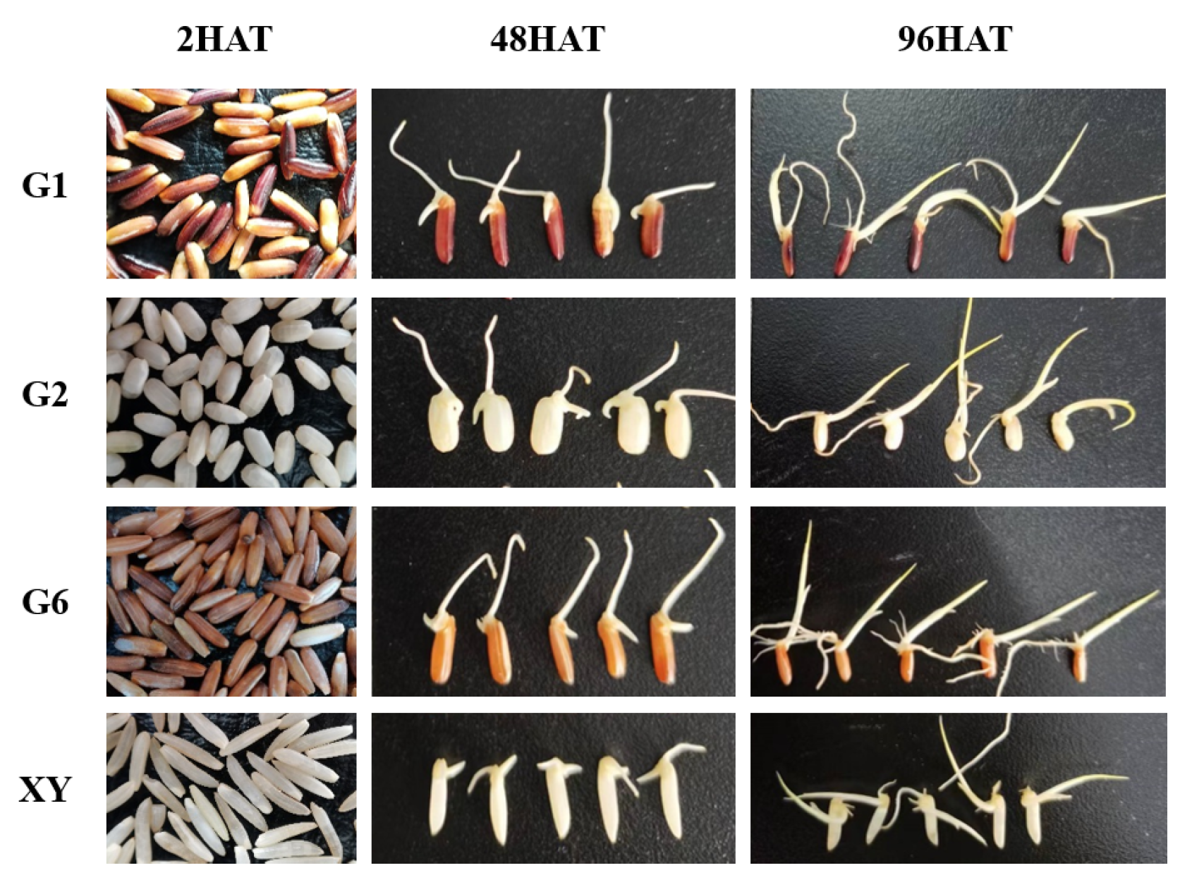 Foods 11 03200 g002 Foods 11 03200 g002