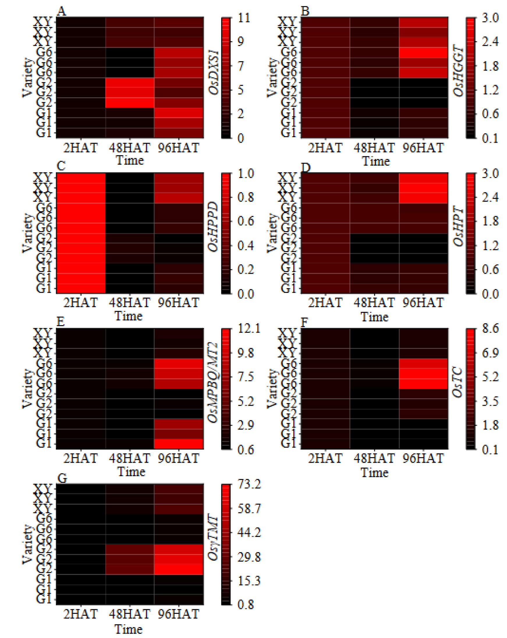 Foods 11 03200 g005 Foods 11 03200 g005