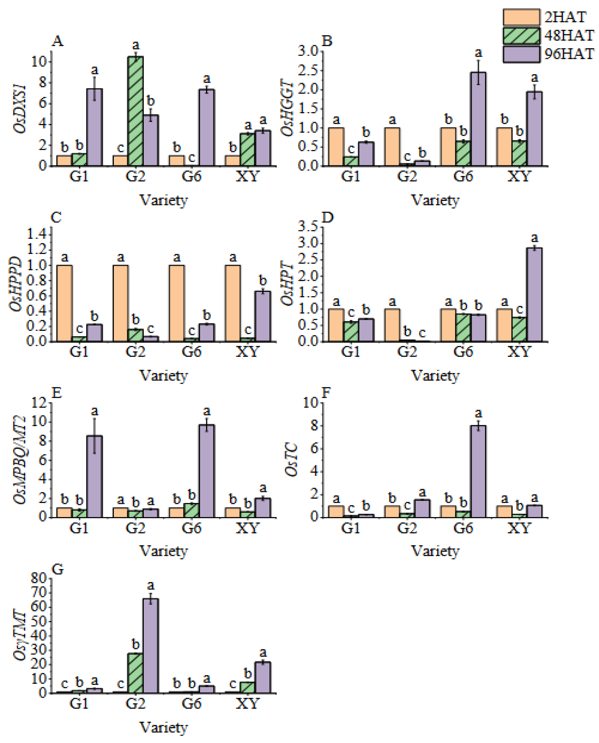 Foods 11 03200 g006 Foods 11 03200 g006