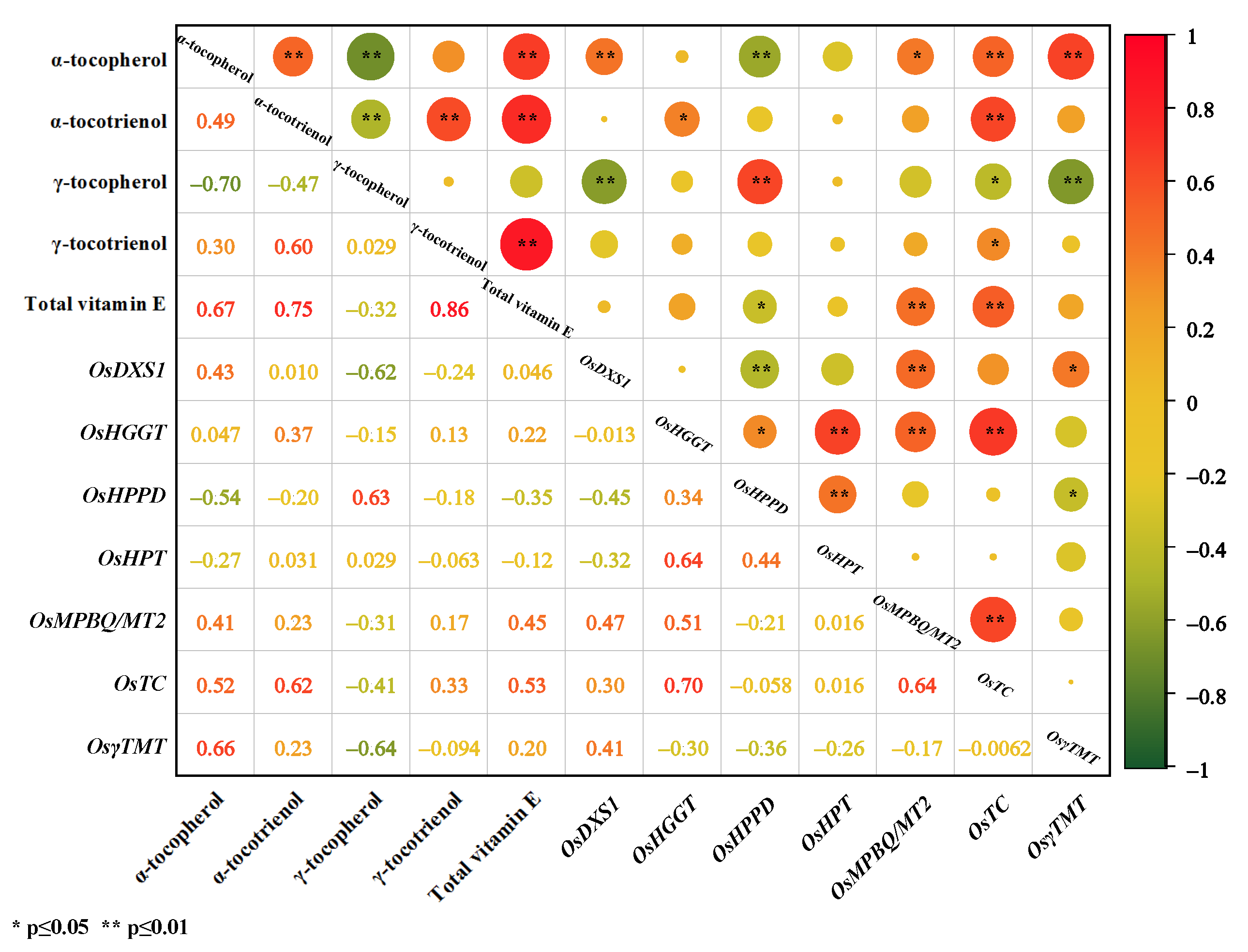 Foods 11 03200 g007 Foods 11 03200 g007