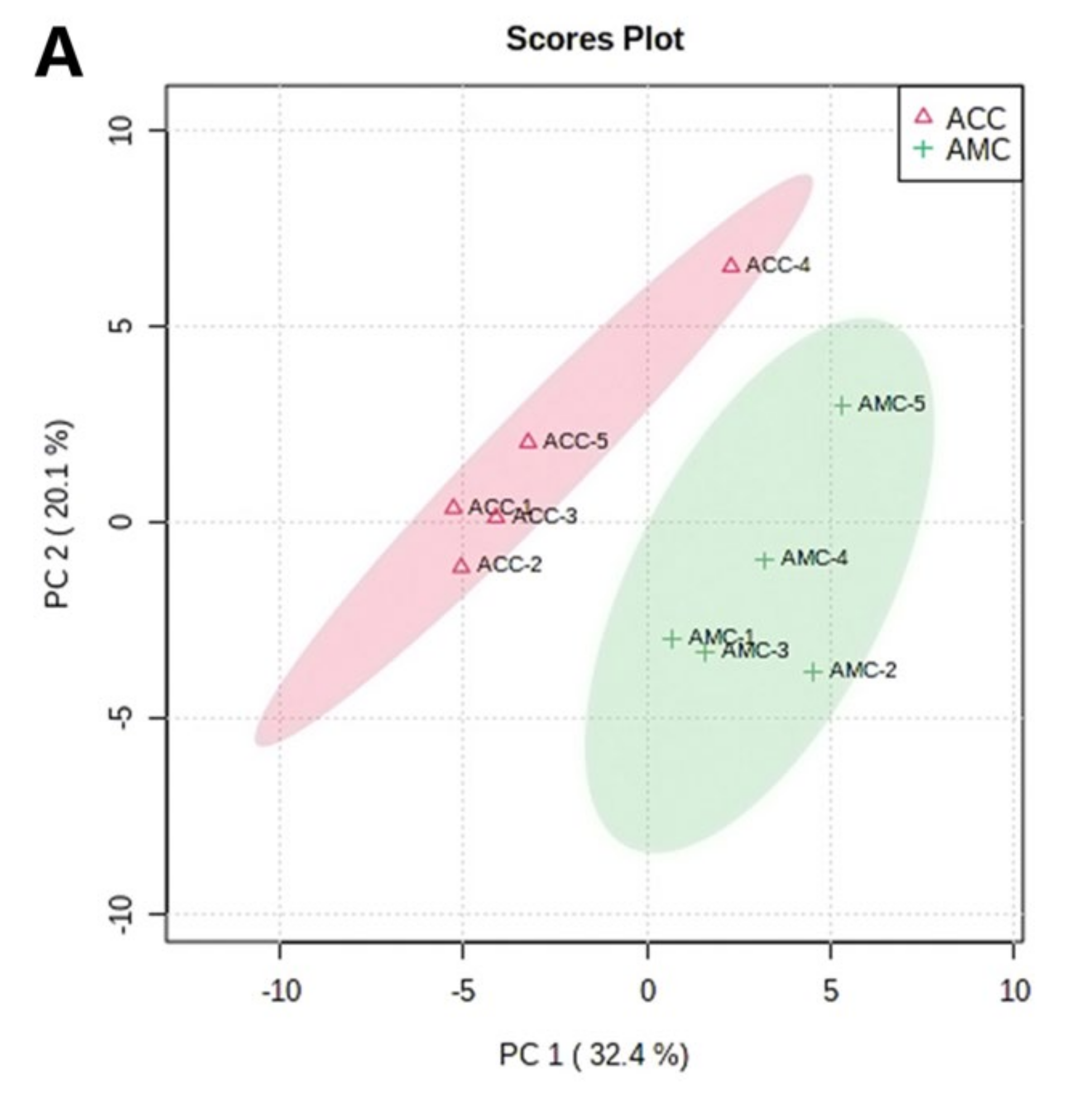 Foods 11 03204 g003a Foods 11 03204 g003a