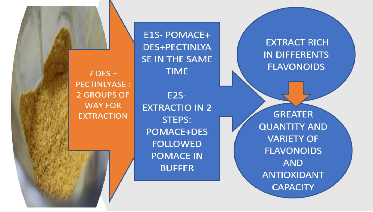 Foods Free FullText High Concentrate Flavonoids Extract from