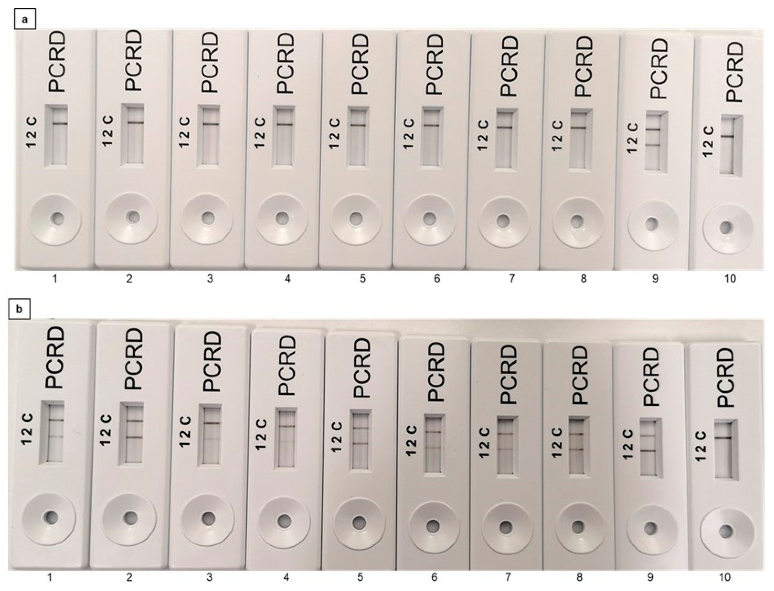 Foods 11 03207 g003 Foods 11 03207 g003
