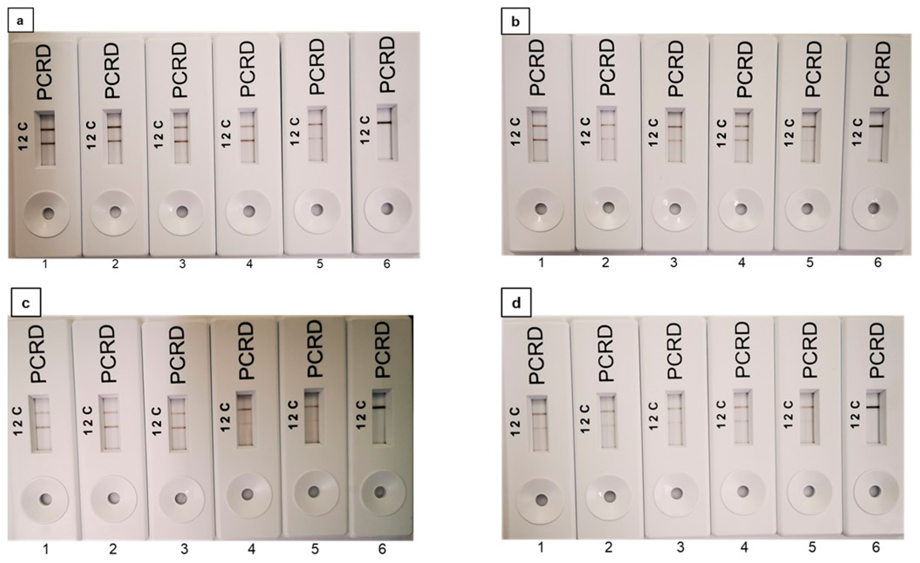 Foods 11 03207 g005 Foods 11 03207 g005
