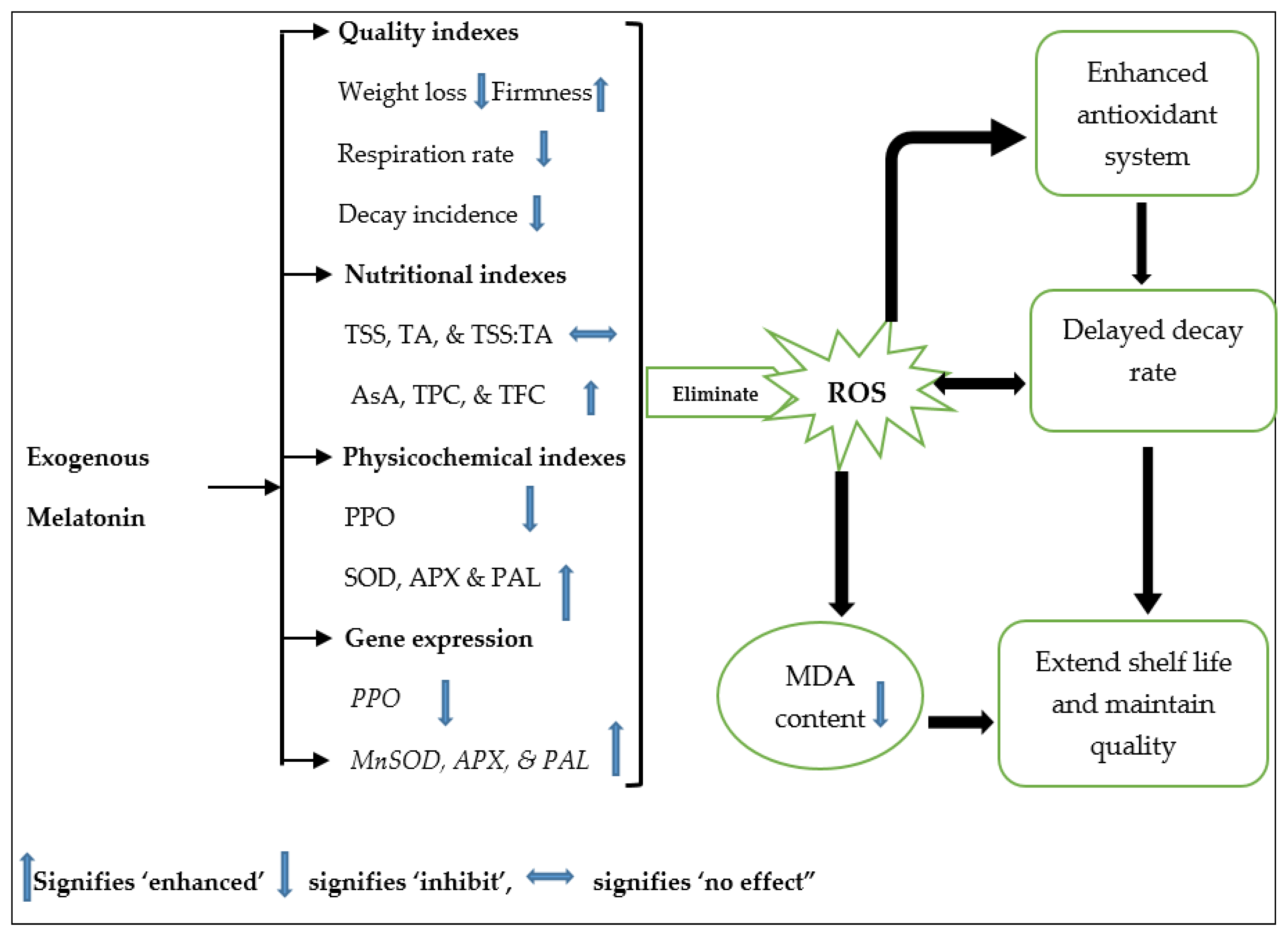 Foods 11 03209 g011 Foods 11 03209 g011