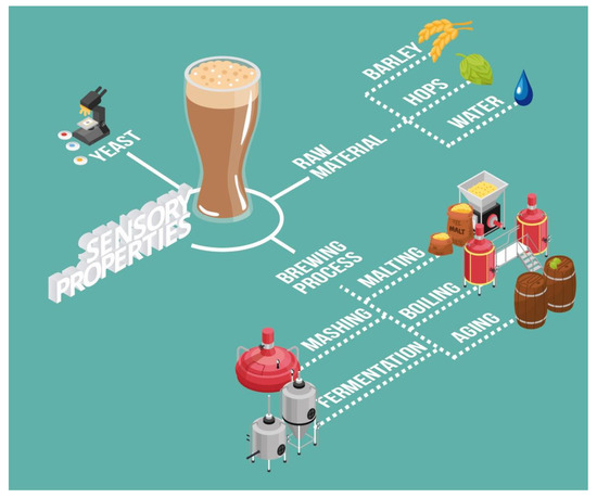 From the Raw Materials to the Bottled Product: Influence of the 