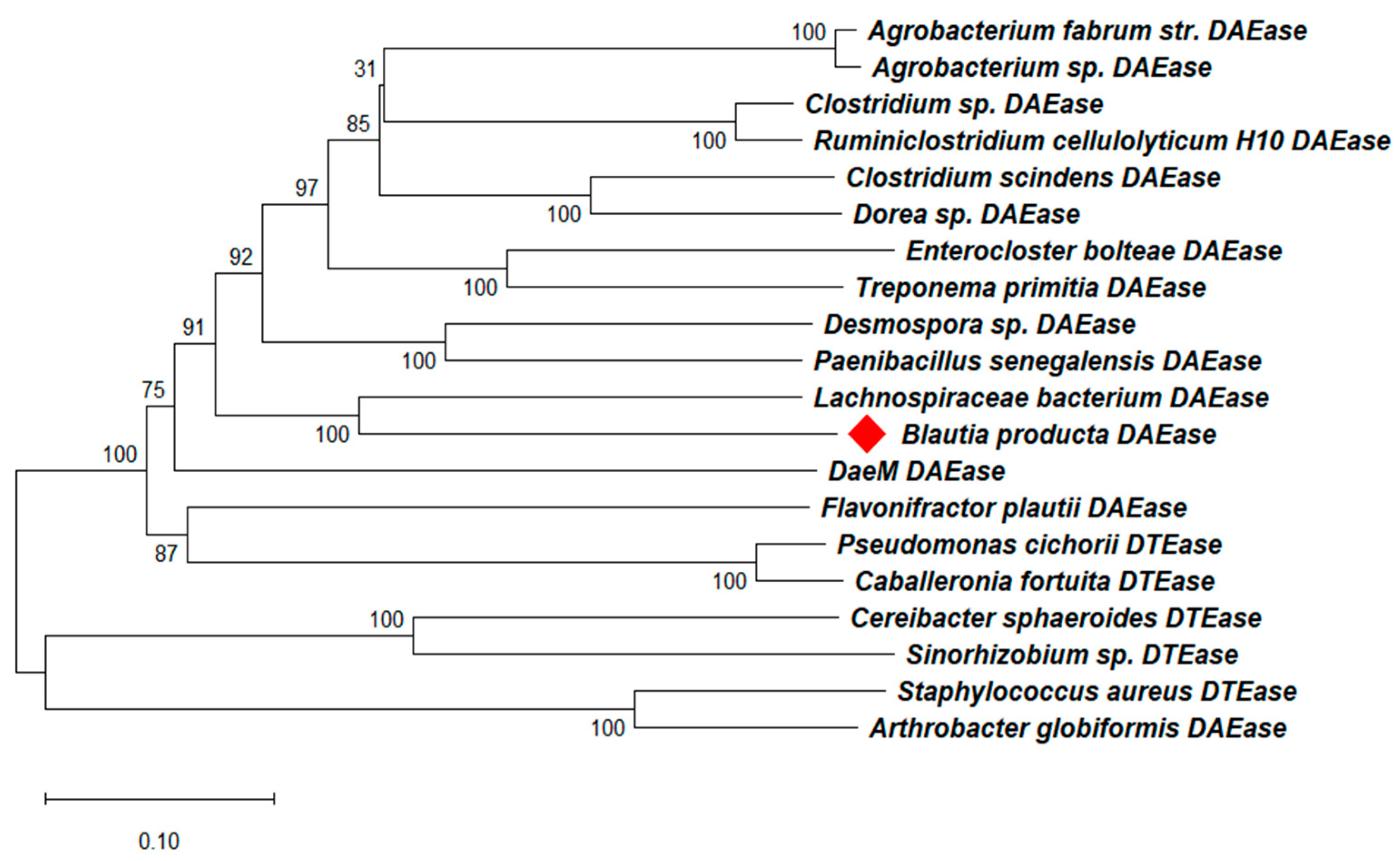 Foods 11 03225 g001 Foods 11 03225 g001